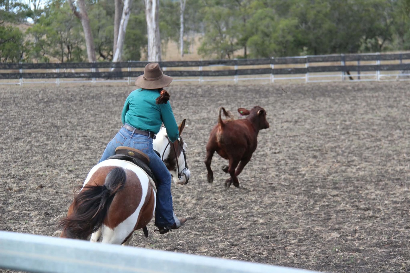 Just me out here living my best life giving campdrafting a red hot crack for the first time ever🤩
Camp drafting is definitely my new favourite horse activity 🤩
Django fueled by the best @cen_horse
#campdrafting #cotscampcampdraft #cowgirl #cowhorses #horseswithholly
