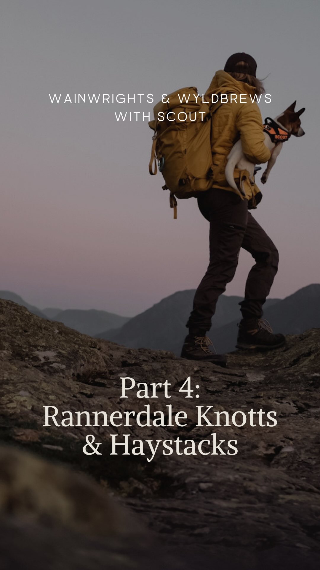 As the heatwave continues to grip the Lake District, Scout and I have been approaching our wainwright bagging a little differently .. heading out on shorter days, with early mornings and late evenings spent on the fells to avoid the midday sun.
See our latest video on YouYube (link in bio). Day 7 & 8 saw us taking in sunsets on Rannerdale and meanders on Haystacks (notably Wainwright’s favourite fell).
.
#wainwrights #lakedistrictuk #wainwrightbagging #hiking #adventuredog