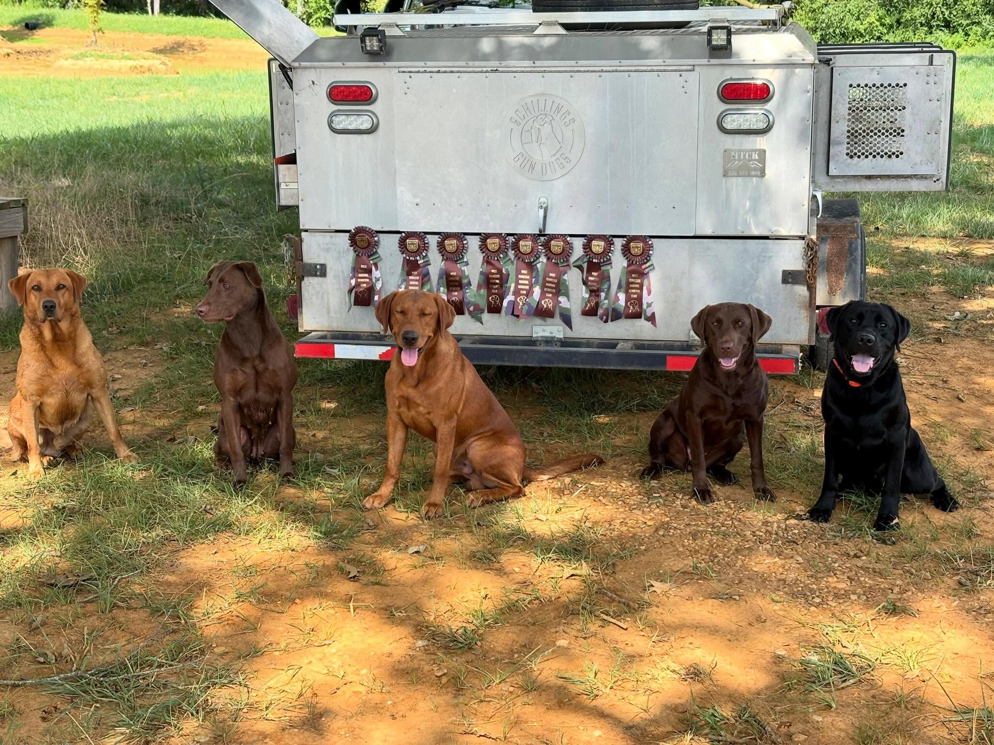 Ran a good group @ UKC test last weekend. Hot!, but successful.