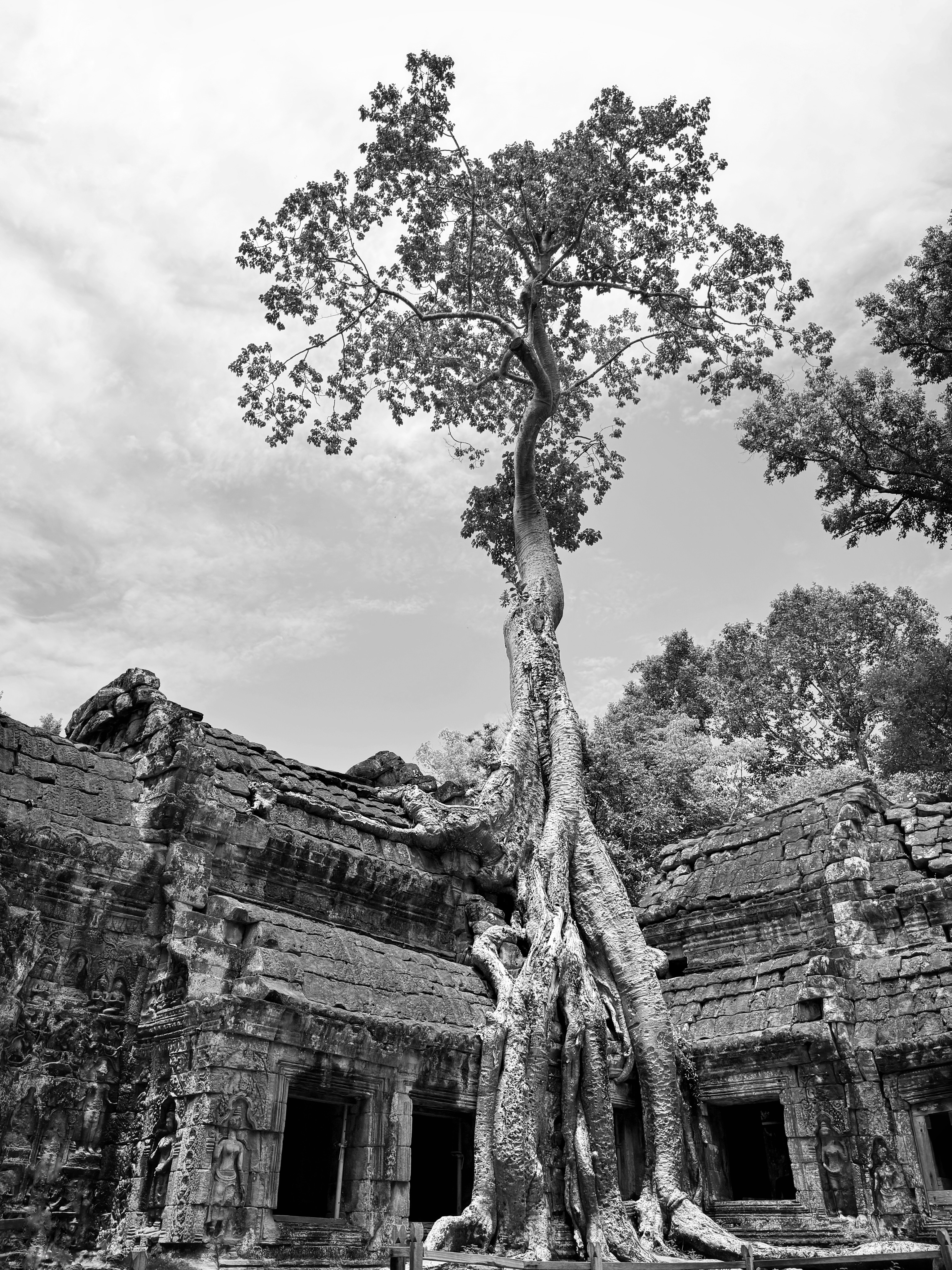 Attacked by monkeys: ✔️
Climbed 900 year old temples like Indiana Jones: ✔️
Discovered the coolest cafes of Siem Riep: ✔️
Enjoyed $1 beers by the river: ✔️
Stepped in fire ants while getting the perfect shot: ✔️
Fell in love with the place all over again: ✔️
Siem Riep - Cambodia 🇰🇭
.
#siemriep #cambodiatravel #visitcambodia #kpmphotoart