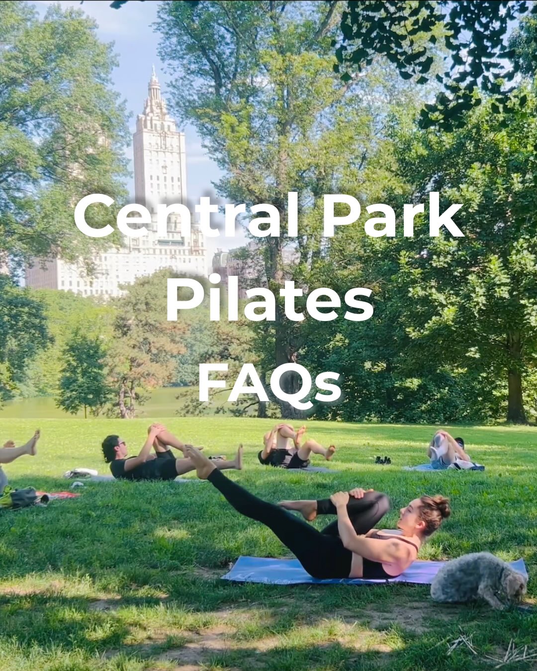 Central Park Pilates FAQs. Check out our most up-to-date schedule and full directions to the Cherry Hill Fountain at our website (link in bio). See you at a class soon ☀️🌳✨
#centralparkpilates #thingstodonyc #secretnyc #centralparknyc
