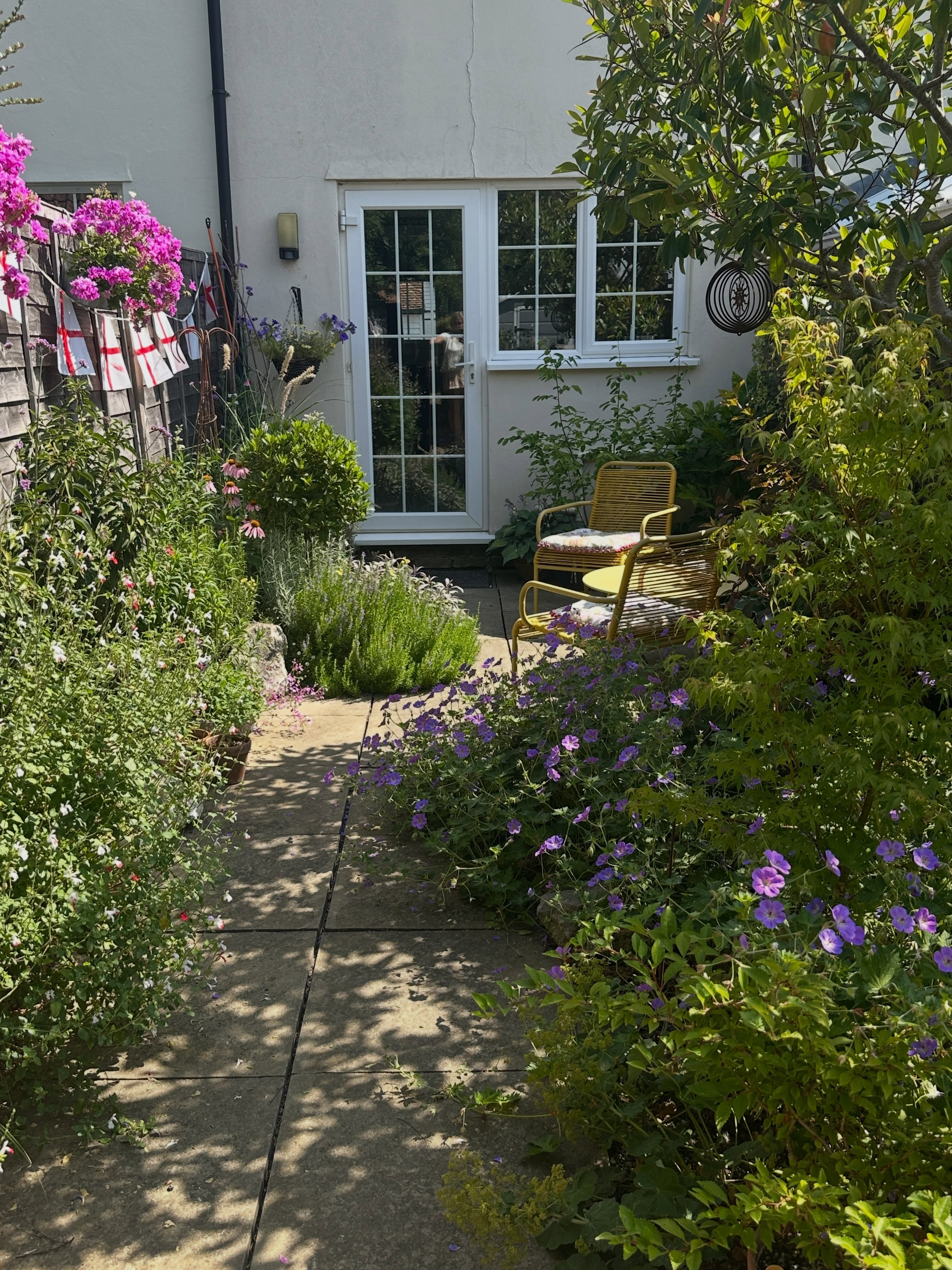 🍏 My pretty little yard in the sunshine and some of the gems flowering beautifully. Even a small space can lift the spirits and connect you with the natural world. I’ve been learning this week about the key benefits of Social and Therapeutic Horticulture, Attention Restoration Theory - in this little space I’m ‘Away’, have ‘Extent’, enjoy ‘soft fascination and ‘Compatibility’. @thrivecharity