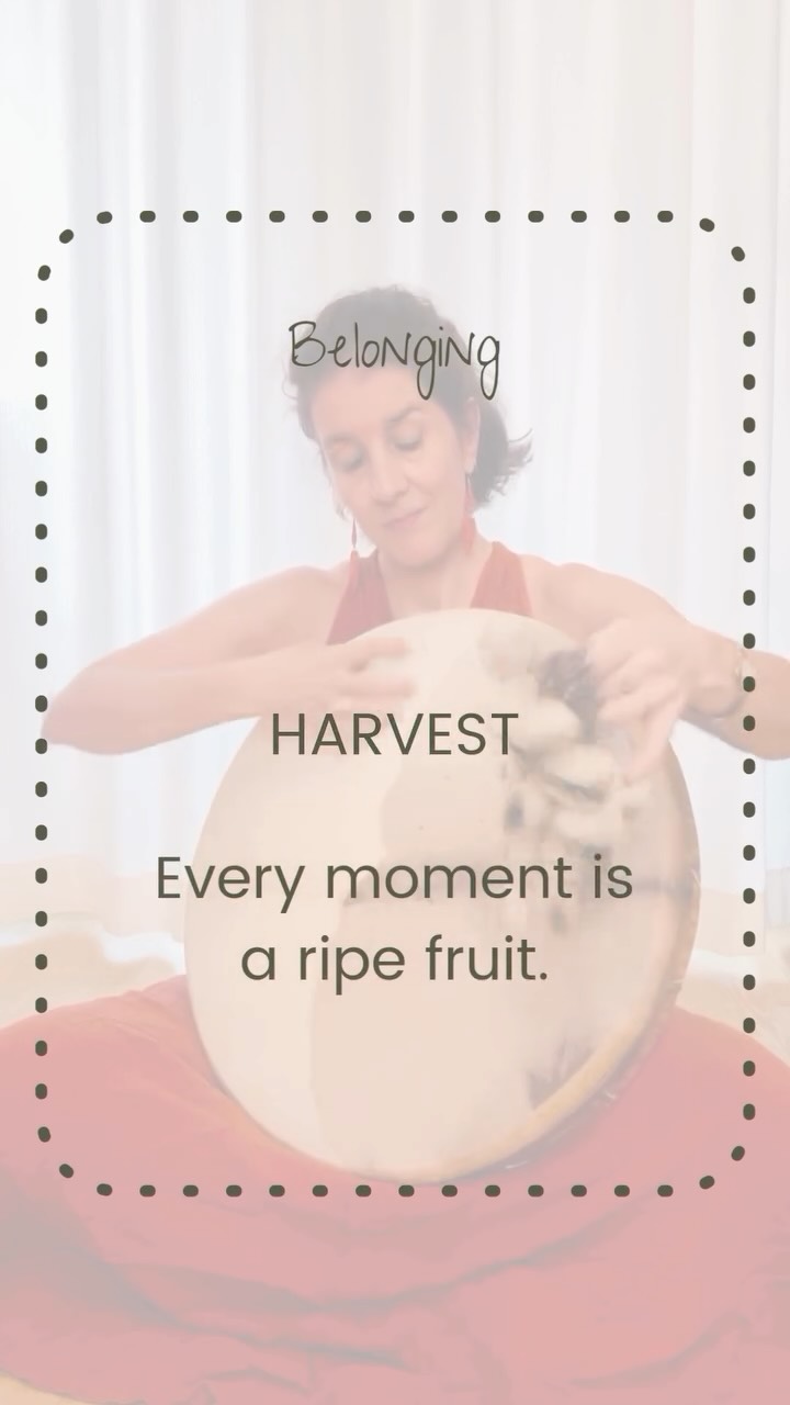 🌾
Belonging
#StillHuman #WeeklySound #SoftResistance #Singing #SoundYoga