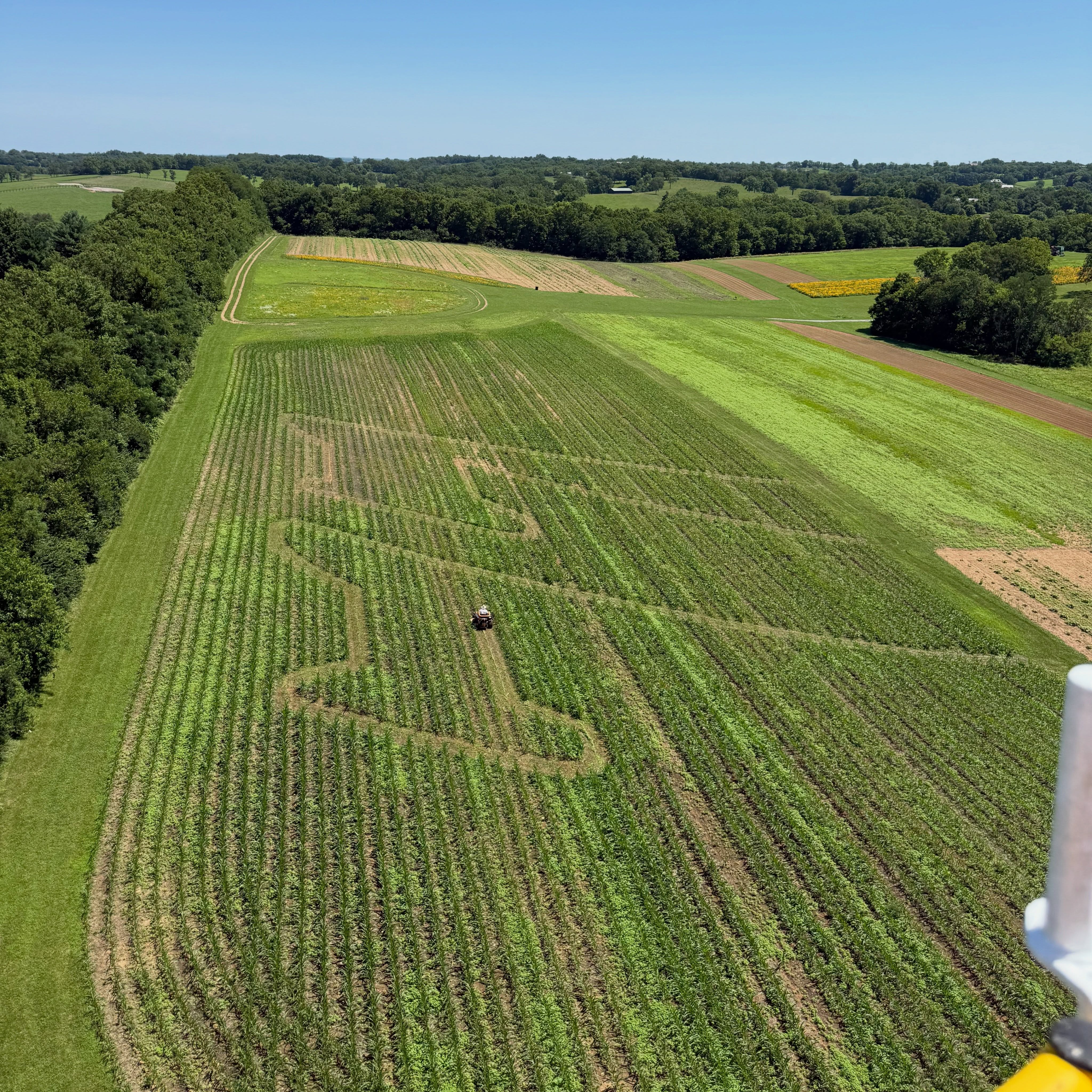 The good folks at Kentucky American Water caught me cutting in our corn maze while they were servicing the water tower. This is their photo from up top. How cool is that?
Any guesses on what this year’s design could be?
You’ll have to wait to see how it turned out!
#cornmaze