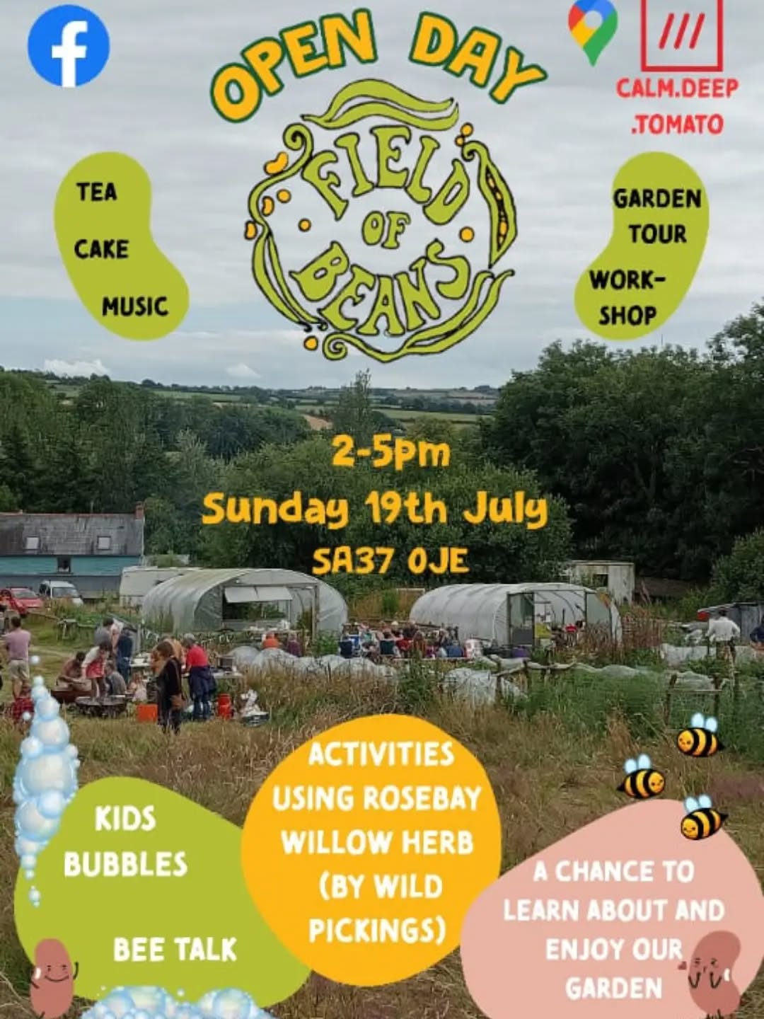 Looking forward to field of beans open day on Sunday, we'll be there with c stack of rosebay willow herb to make Ivan tea and flower essences