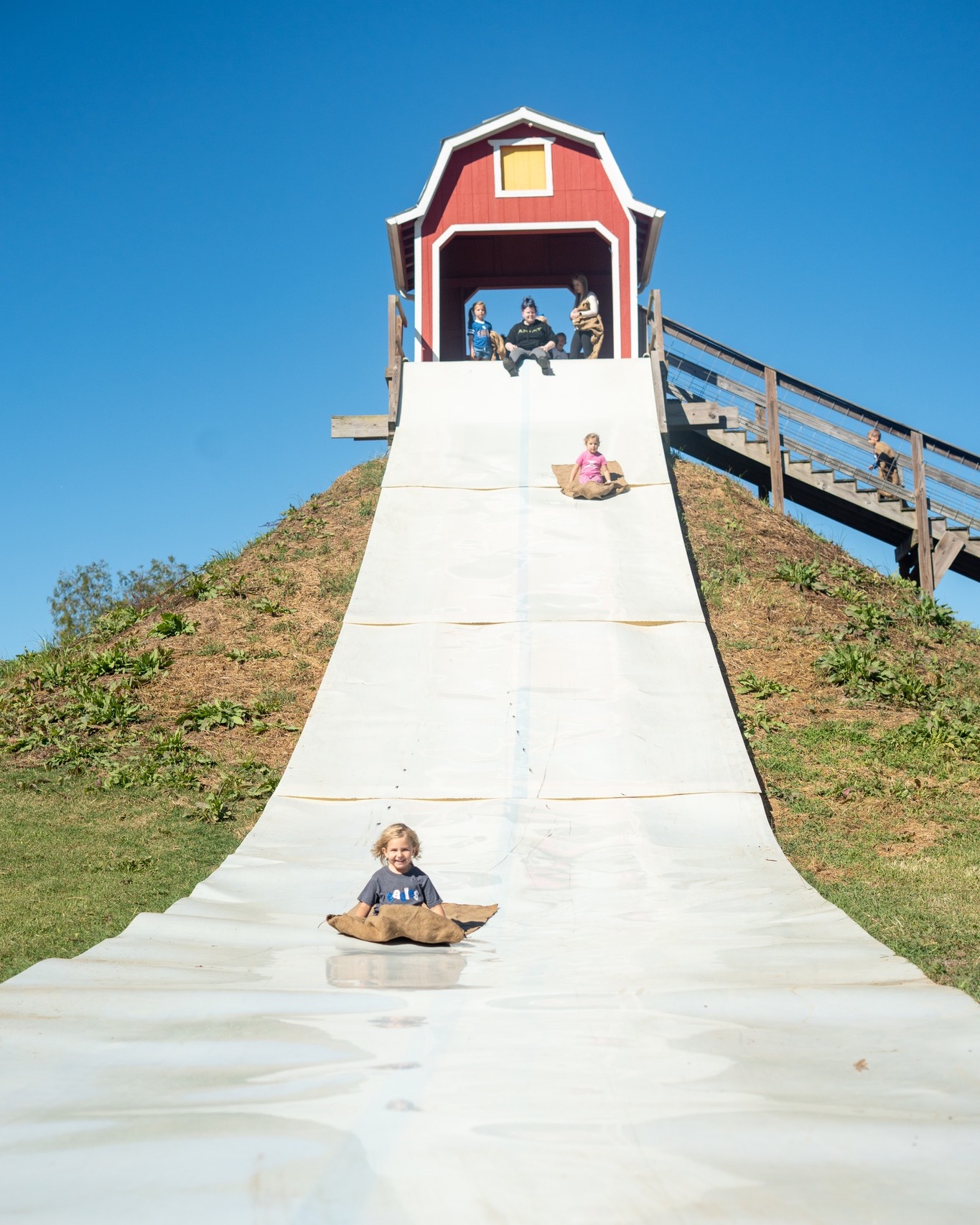 Mark your calendars and get ready for Fall Field Trips at Donnell Century Farm!!
Fall Field Trips will be offered on the Farm from September 21 - November 7.
Come explore fun farm attractions and dive into Fall with pumpkins, corn mazes, our farm animals and harvest lessons! Check out or website for additional information: donnellcenturyfarm.com/field-trips