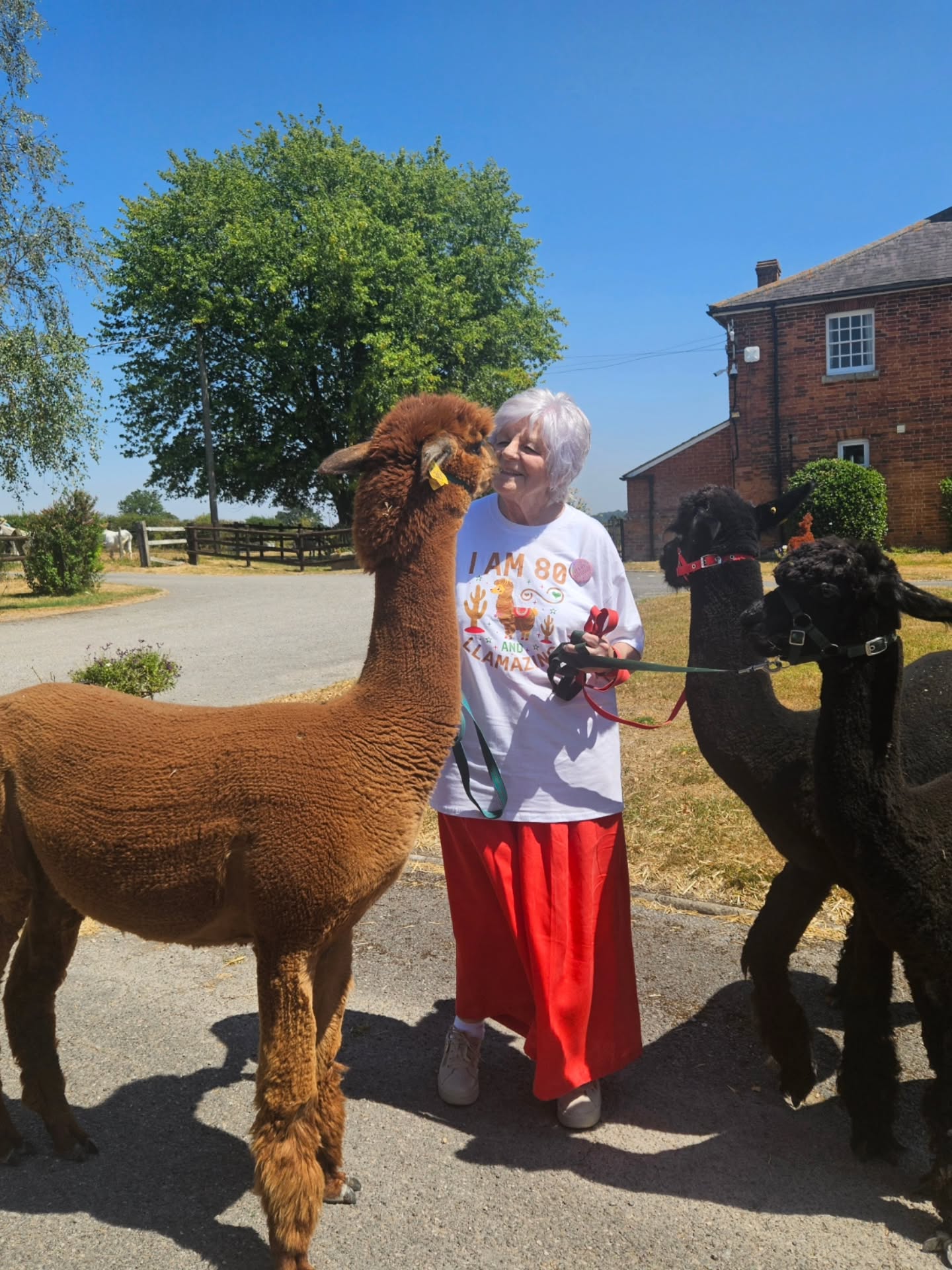 Looking for a unique way to celebrate a milestone birthday? 🎂🦙
This lovely guest chose to spend her 80th birthday with our alpacas, and we think the smiles say it all! From birthdays to family days out, Wiltshire Alpacas is the perfect place to celebrate life's special moments.
We can't wait to welcome you! 💚✨
#wiltshirealpacas #alpacaexperience #80thbirthday #visitwiltshire #makingmemories♥️