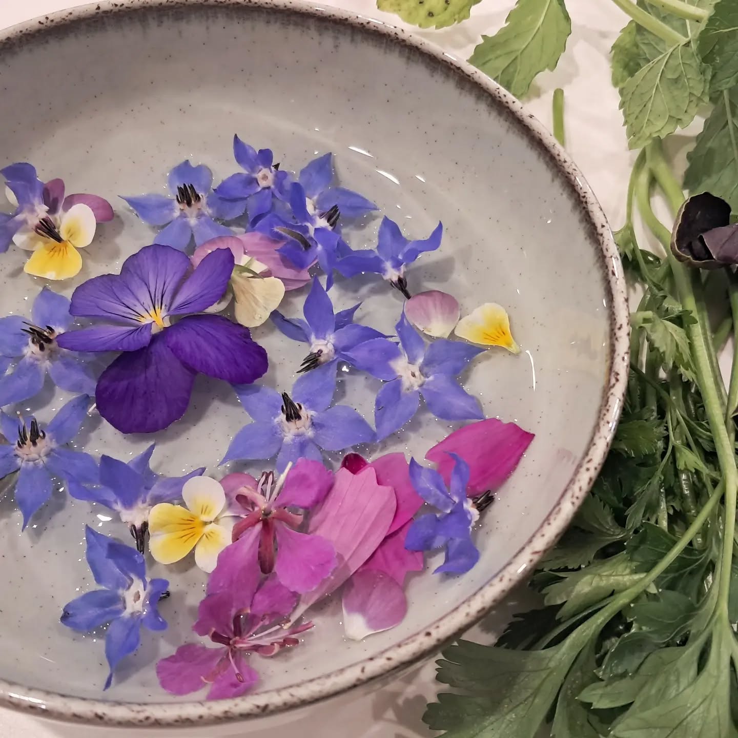 Fleurs et herbes du jardin: bourrache, pensées, cosmos et épilobes, coriandre, persil, basilic et basilic thaï pour faire des arcs-en-ciel dans nos assiettes gorgées de vitalité ! 💗
#AuClairDeLaSource
#CuisineDuJardin
#AyurvedaInspired
#SlowLife
#RetrouverLEssentiel