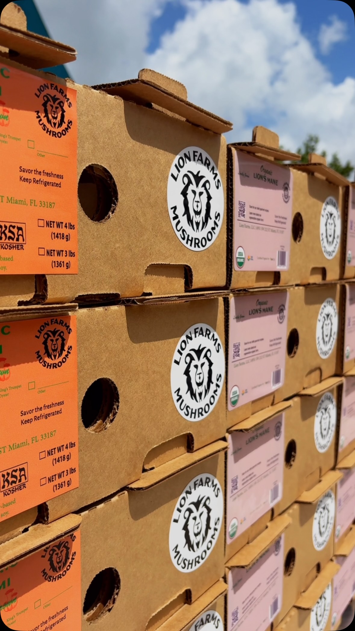 From our farm to Mr. Greens… then to your kitchen.