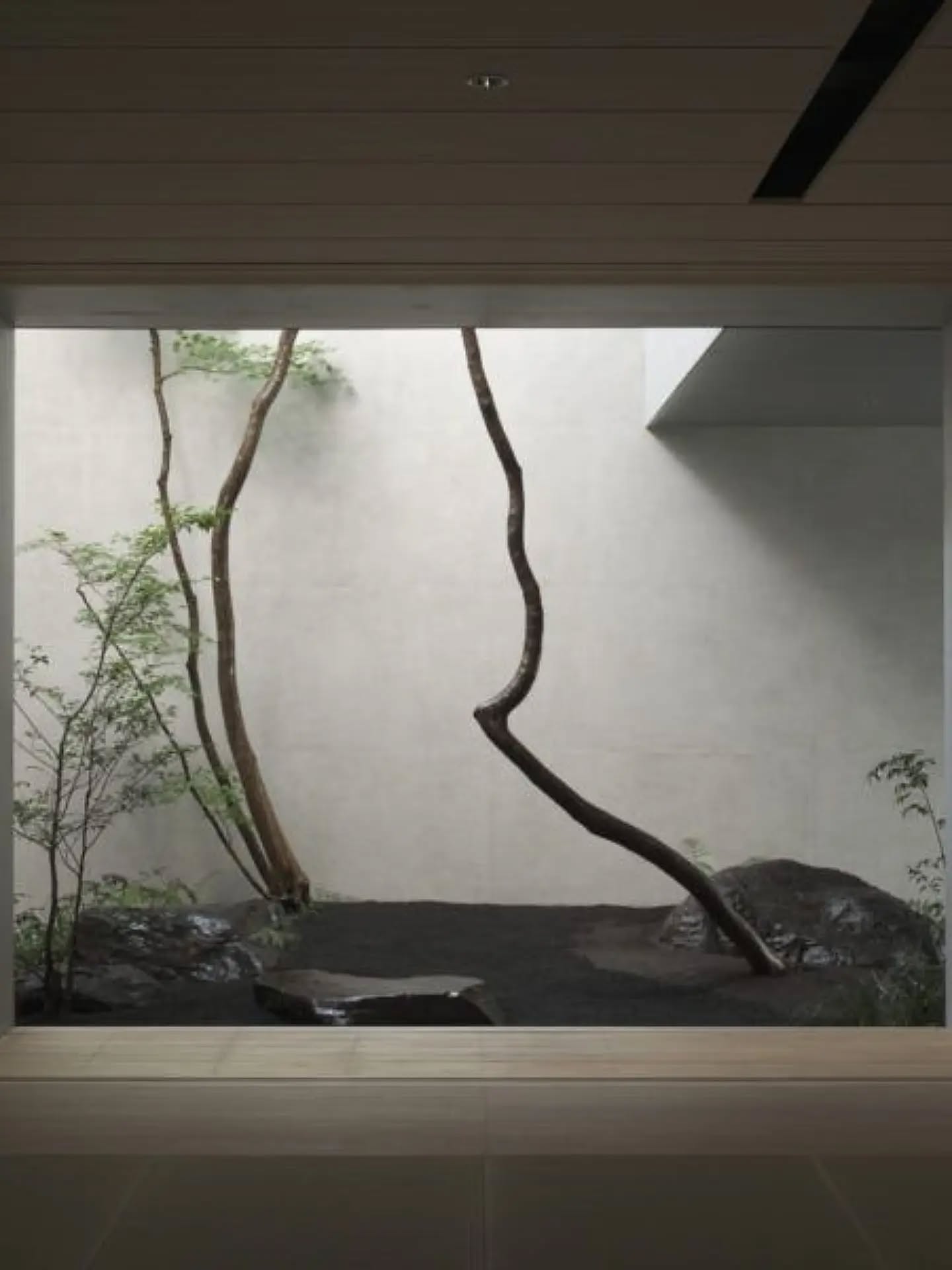 About eight months ago, we started working on a wonderful new commission: the transformation of a hidden patio and private office within an Amsterdam loft.
The project explores the relationship between architecture and landscape; how nature can extend beyond the garden and become part of the everyday experience of a home. How the boundaries between inside and outside gradually dissolve. How materials flow across thresholds, creating a continuous spatial narrative where space and nature exist in quiet balance.
After months of design development, we are excited to see this vision slowly becoming reality.
Big thanks to everyone who's been working behind the scenes to make this happen:
@chamoodstea
@schaffelaar_hoveniers
@stabilointerieurbouw
@studio_antimatter
@vasiliquefkatsara
Stay tuned 🌿
•
#Minimuc
#ContemporaryArchitecture
#InteriorArchitecture
#LandscapeArchitecture
#DutchArchitecture