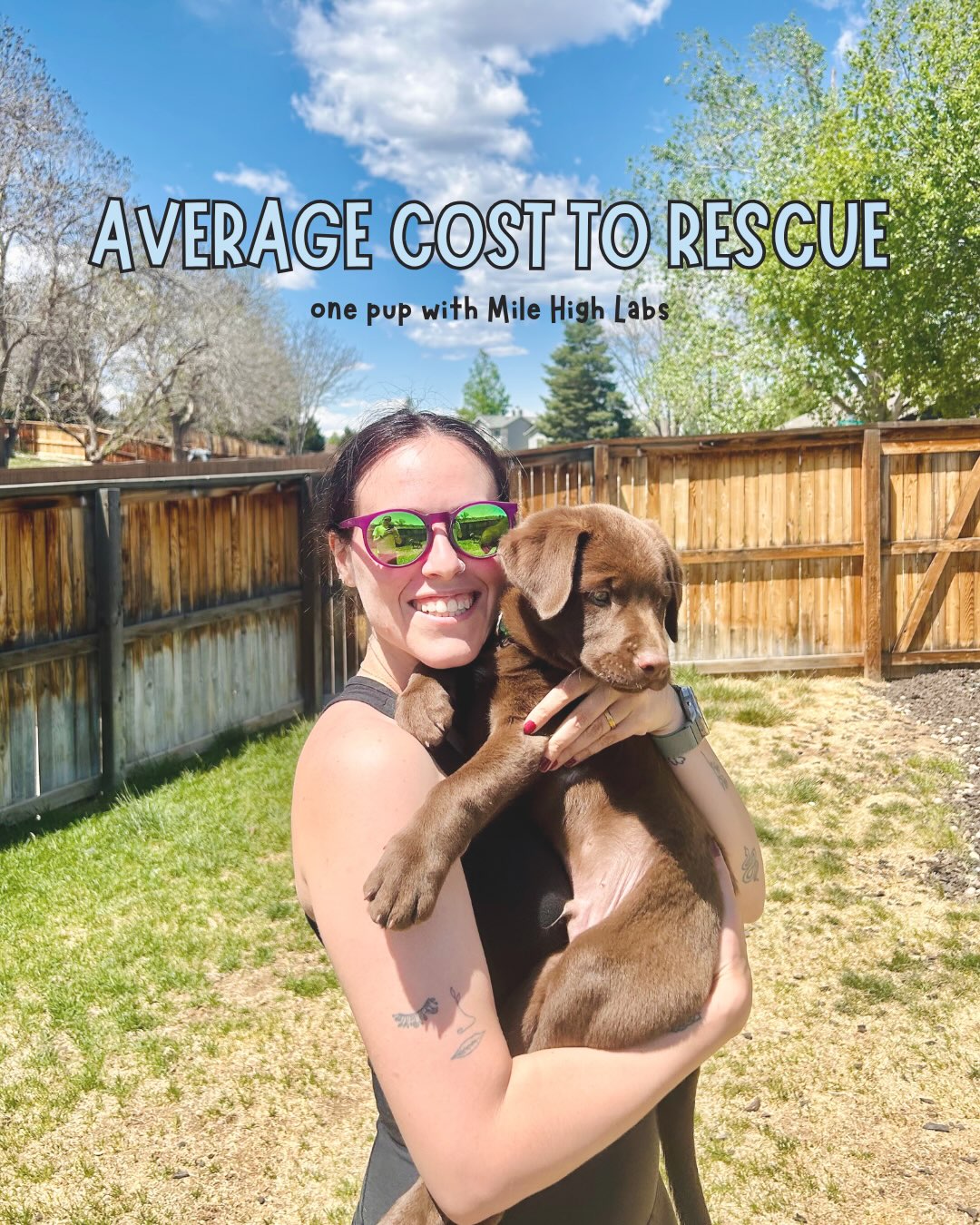 Yes, you read that right!👀 It costs, on average, $880 to rescue one healthy pup with Mile High Labs! Just one! And that doesn’t include the large percentage of dogs that are special needs or require medical and emergency support.
Your donations go a long way and we couldn’t be more appreciative of the support from our community. They don’t just help fund a rescue, they turn fear into comfort. They make this work happen. They give a priceless pup another chance.
Visit MHLRM.com today and help us save more dogs!🐾