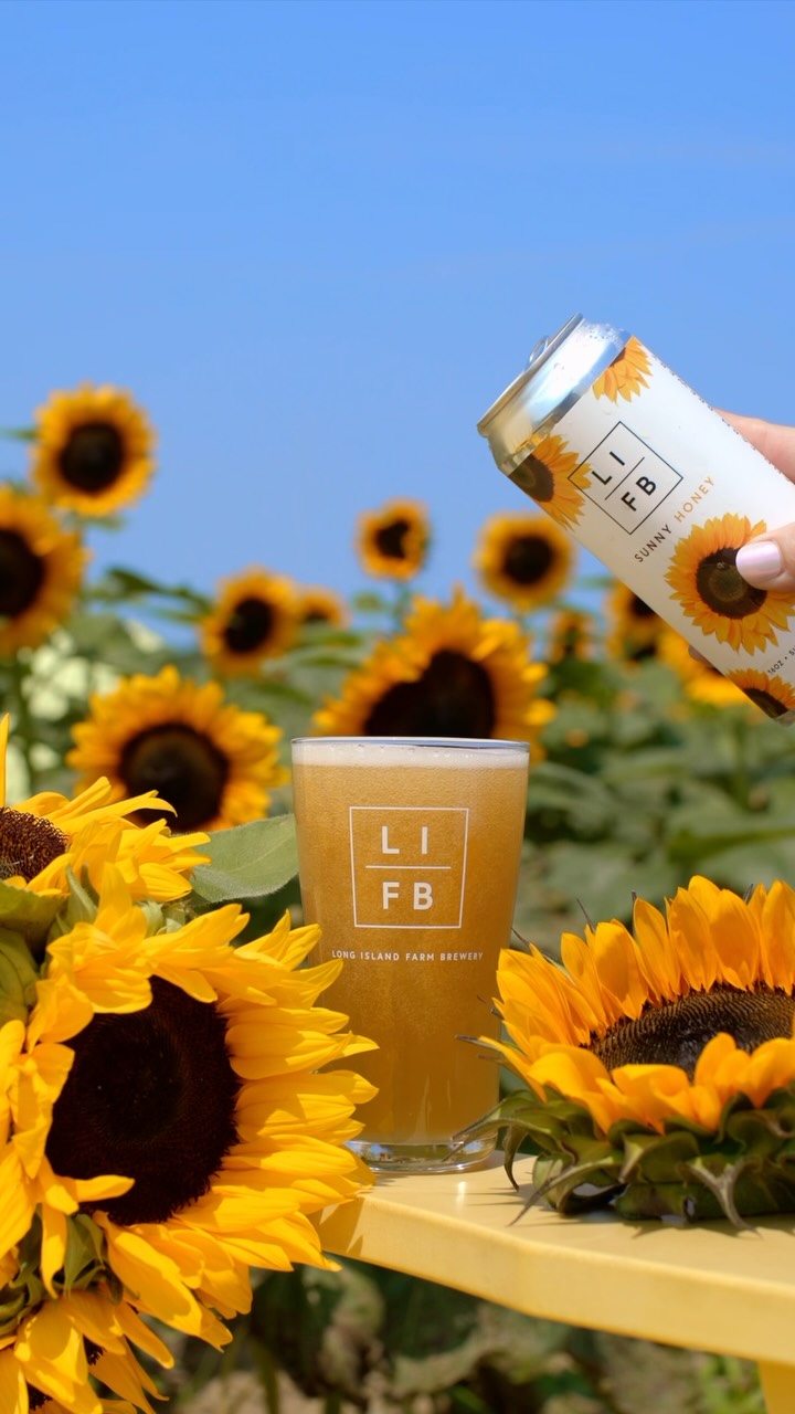 Join us this weekend - July 18 & 19 for Sunflower Summer Festival 🌻☀️ at Waterdrinker in Manorville.
Spend the day wandering through blooming sunflower fields, picking your own bouquet, shopping local vendors, enjoying live music, food trucks, a beer garden, barnyard animals, mini golf, jump pads, and so much more!
$20 Admission
Children 2 & Under FREE
U-Pick Sunflowers available for $2 per stem
Tickets linked on our bio and website!