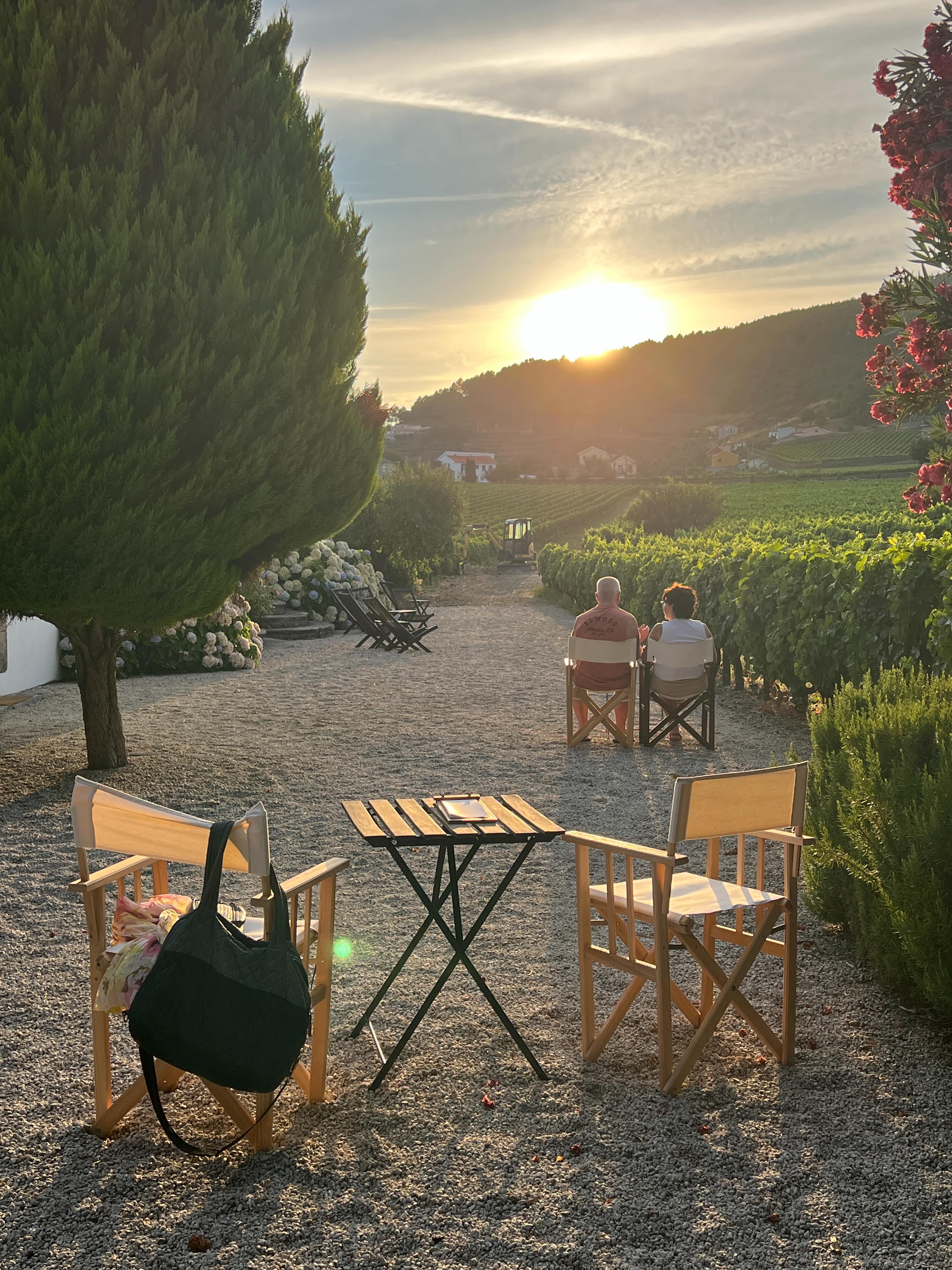 As the sun begins to set, conversations seem to slow, glasses stay a little fuller, and time becomes less important.
Perhaps that’s one of the quiet gifts of the Douro.
#morgadiodacalçada
🌿 The Road to Harvest