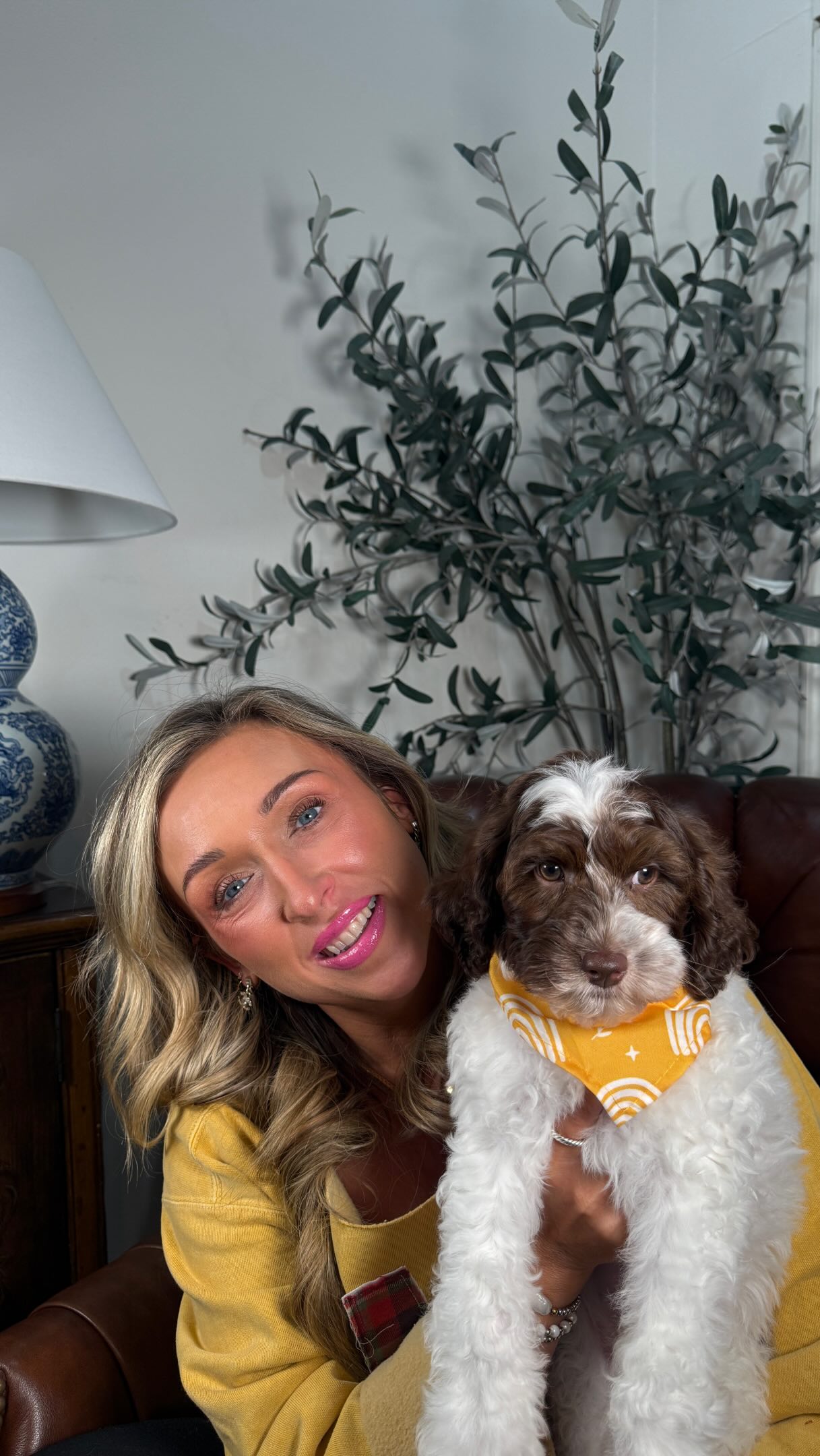 We gotta share this sweet boy too!! He is all packed up and ready to go!!
SMD Famiky please share we know his perfect match is waiting for him!!
#southernmeadowsdoodles #australianlabradoodle #puppylove #australianlabradoodlebreeder #betterbreedbydesign