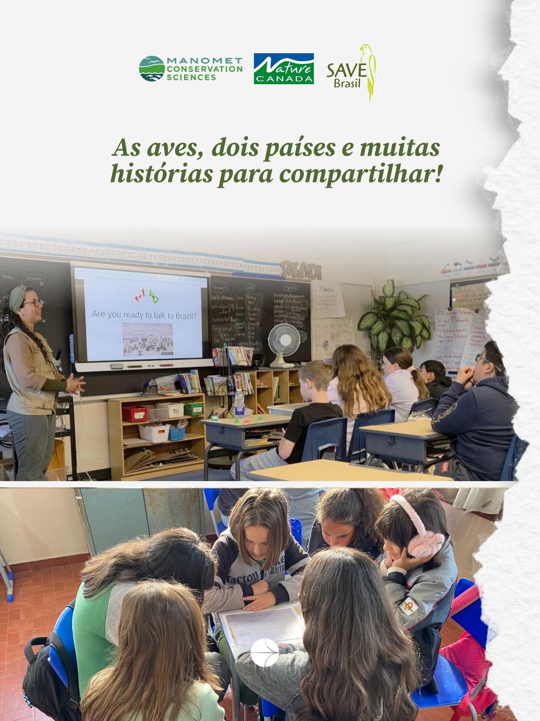 Duas realidades. Um propósito comum: proteger a vida das aves migratória. 🇧🇷 🇨🇦
As aves limícolas migratórias criaram uma ponte viva entre estudantes da Lagoa do Peixe (Brasil) e da região da Baía de James (Canadá), conectando comunidades por meio da natureza, do aprendizado e de experiências compartilhadas.
Essa troca demonstra como a colaboração internacional pode inspirar a próxima geração de conservacionistas, ao mesmo tempo que fortalece os laços entre as pessoas que compartilham essas aves extraordinárias em sua jornada migratória.
Deslize para descobrir a história por trás dessa parceria e conhecer algumas das pessoas dedicadas que a tornam possível.
Esta iniciativa é possível graças à colaboração da SAVE Brasil, da Nature Canada e da Manomet Conservation Sciences, que combinam conhecimento especializado, liderança e recursos para fortalecer a educação ambiental ao longo da rota migratória.
-
#conservacao #aves #international #educação