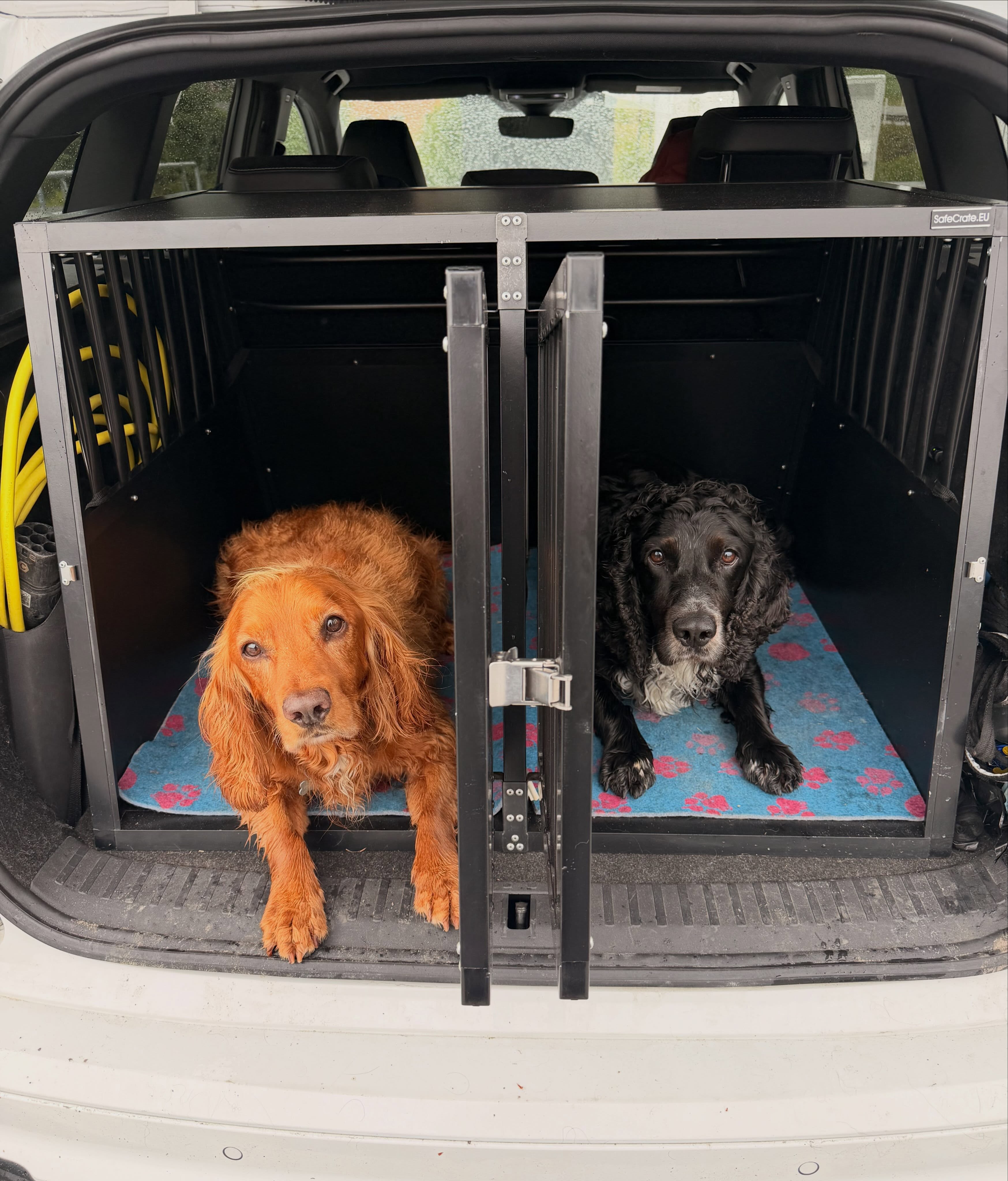 Lang biltur i vente? Disse to har akkurat kjørt 1939km, så her er våre beste tips 🚗
⏸️ Ta pauser ofte - la hunden strekke på beina
💧 Ha alltid vann tilgjengelig
🌬️ Sørg for god ventilasjon - aldri la dem sitte i stillestående og varm bil
🧸 Ta med kjente gjenstander som gir trygghet
🤢 Sliter kjæledyret med reisesyke? Vi kan hjelpe!
God tur til alle 🫶🏼