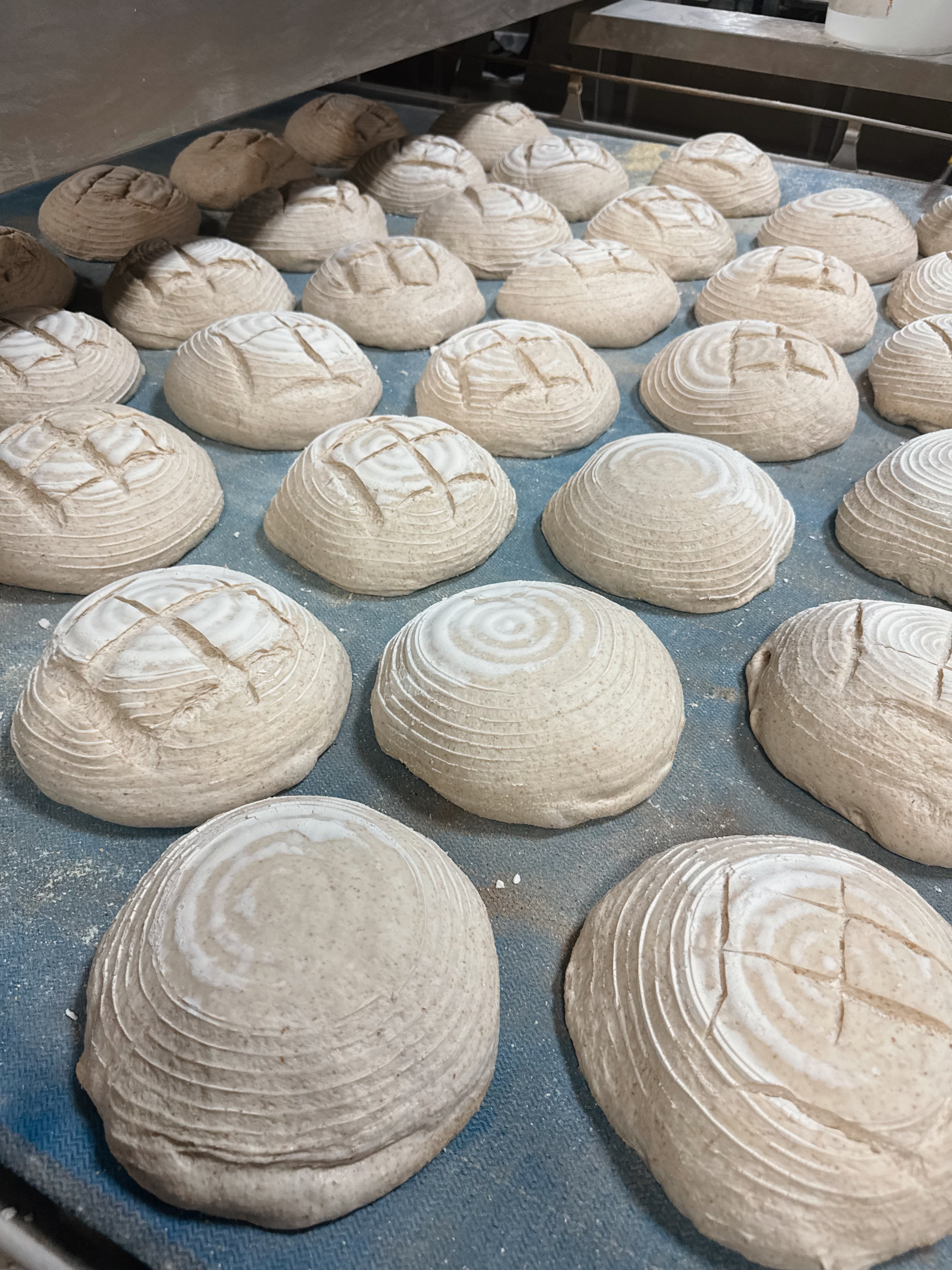 Mt. Athos bread. Next stop, a 470° oven 🥵🔥
@kornfeil_bakeryovens #mediterrabakehouse #kornfeil #bakerpov