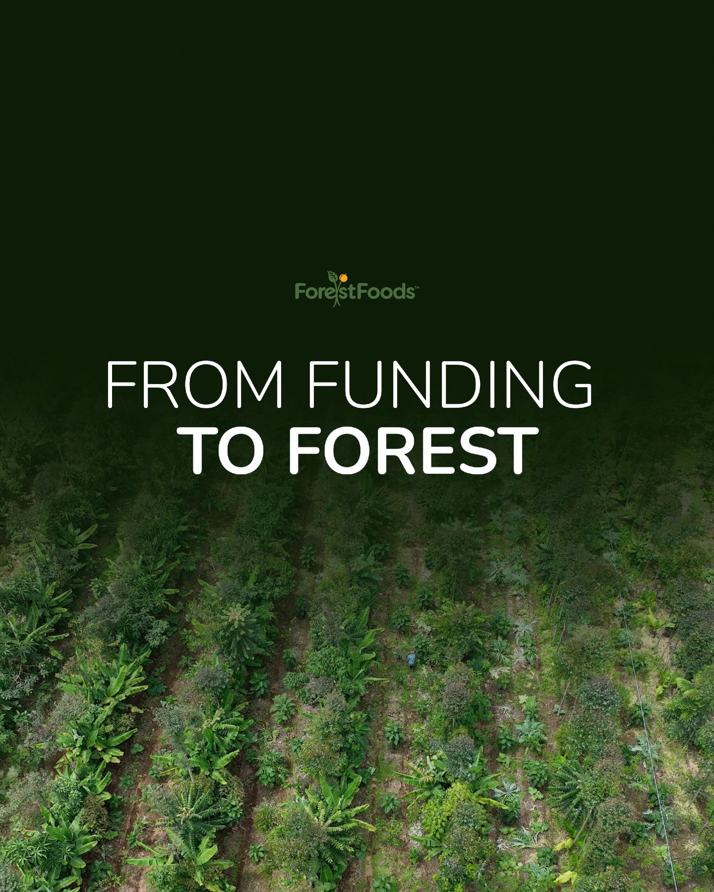 Regenerate Kenya is inviting founding partners to become part of the first circle behind the Shimba Hills project. This is not just about giving money to an idea. It is about backing a proven model and helping turn the next ForestFoods system into reality — with recognition tied to the forest as it grows. Founding partners help support seedlings, training, soil regeneration, water systems, named plots, and long-term project development. This is your chance to be part of the beginning. Back Regenerate Kenya on Indiegogo — link in bio. Hashtags: #ForestFoods #RegenerateKenya #FoundingPartner #Indiegogo #RegenerativeAgriculture #KenyaCoast