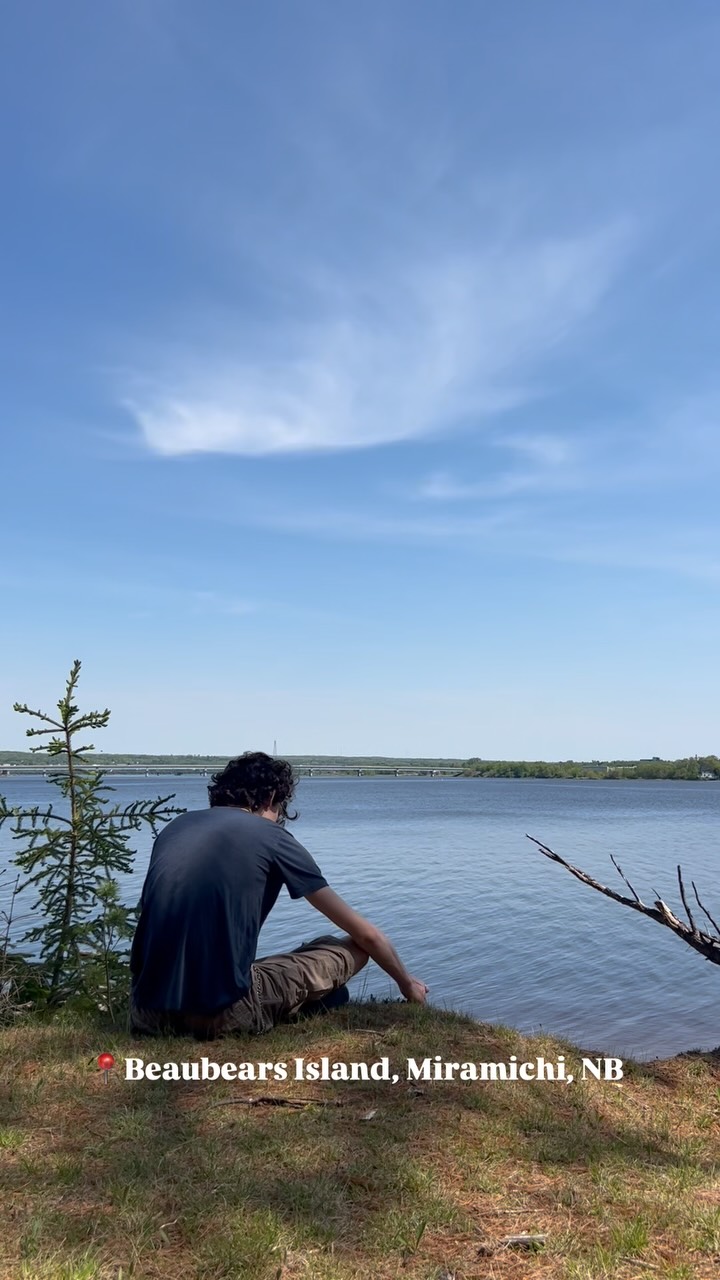 It’s so peaceful here! 🥹
#ExploreBeaubearsIsland this summer!🦫🏞️ Open daily 10AM-5PM!🌲