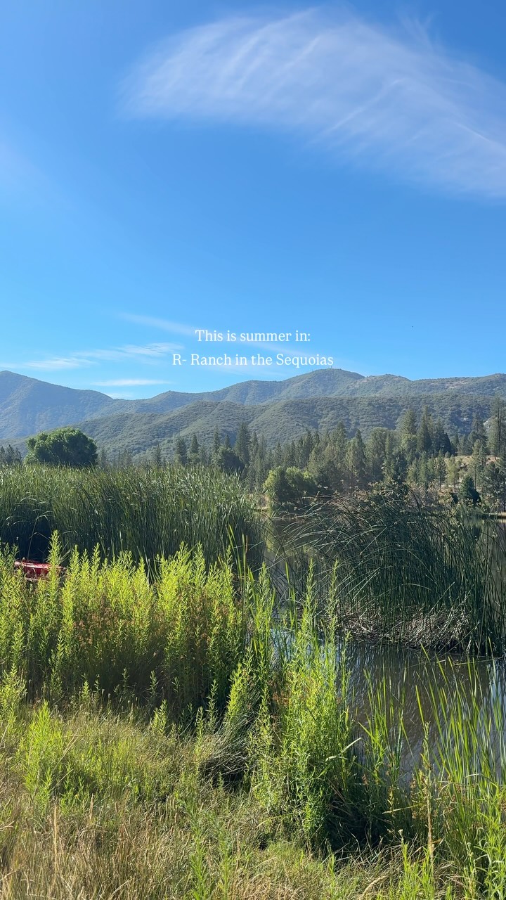Summer at R-Ranch in the Sequoias 🏞️🦦🤠