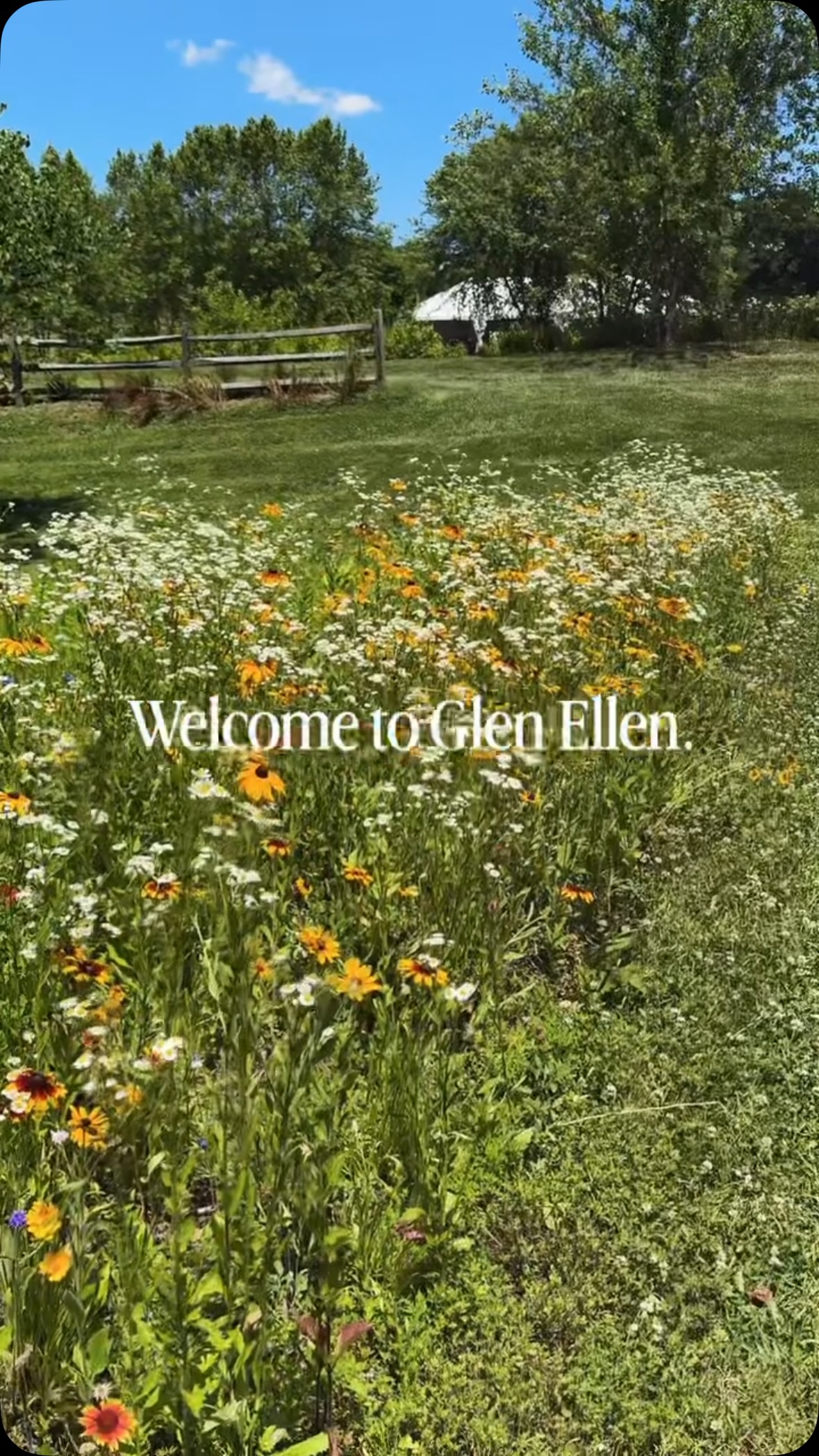 Photographer’s and couples have been loving our secret wildflower meadow 💛 Just one of the many whimsical scenes on our grounds.
⠀⠀⠀⠀⠀⠀⠀⠀⠀
See the beauty for yourself with a private tour. Visit GlenEllenFarm.com to inquire about your date.
⠀⠀⠀⠀⠀⠀⠀⠀⠀
Glen Ellen Farm | historic & garden wedding venue in Maryland | now booking 2027 weddings.