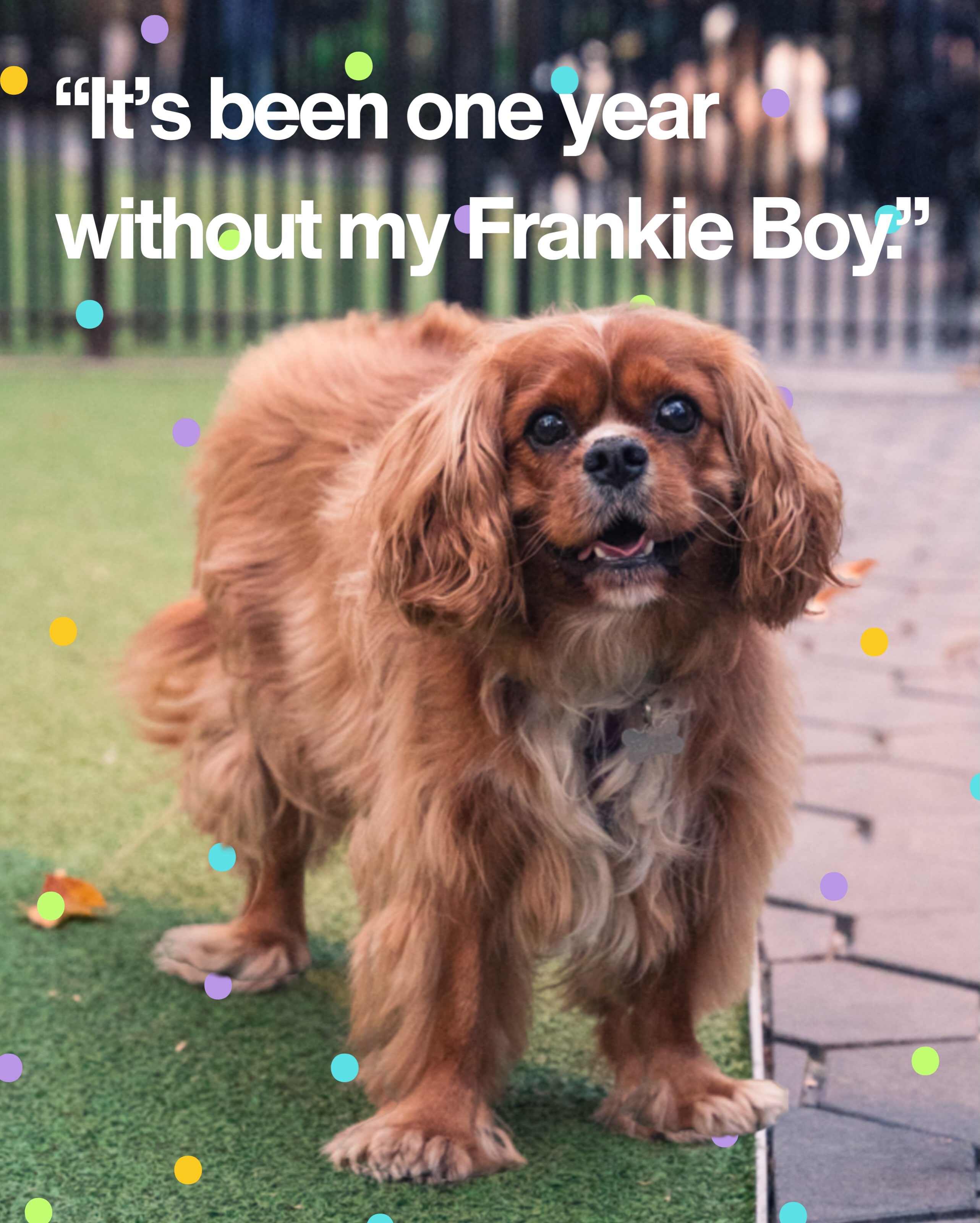 On the first anniversary of the death of @lauraaatuck’s beloved dog Frankie she shared her reflections on a year of grief, her favorite memories with Frankie, and how she keeps him with her every day ❤️
#petloss #dogs #petmemorial #grief #doglover