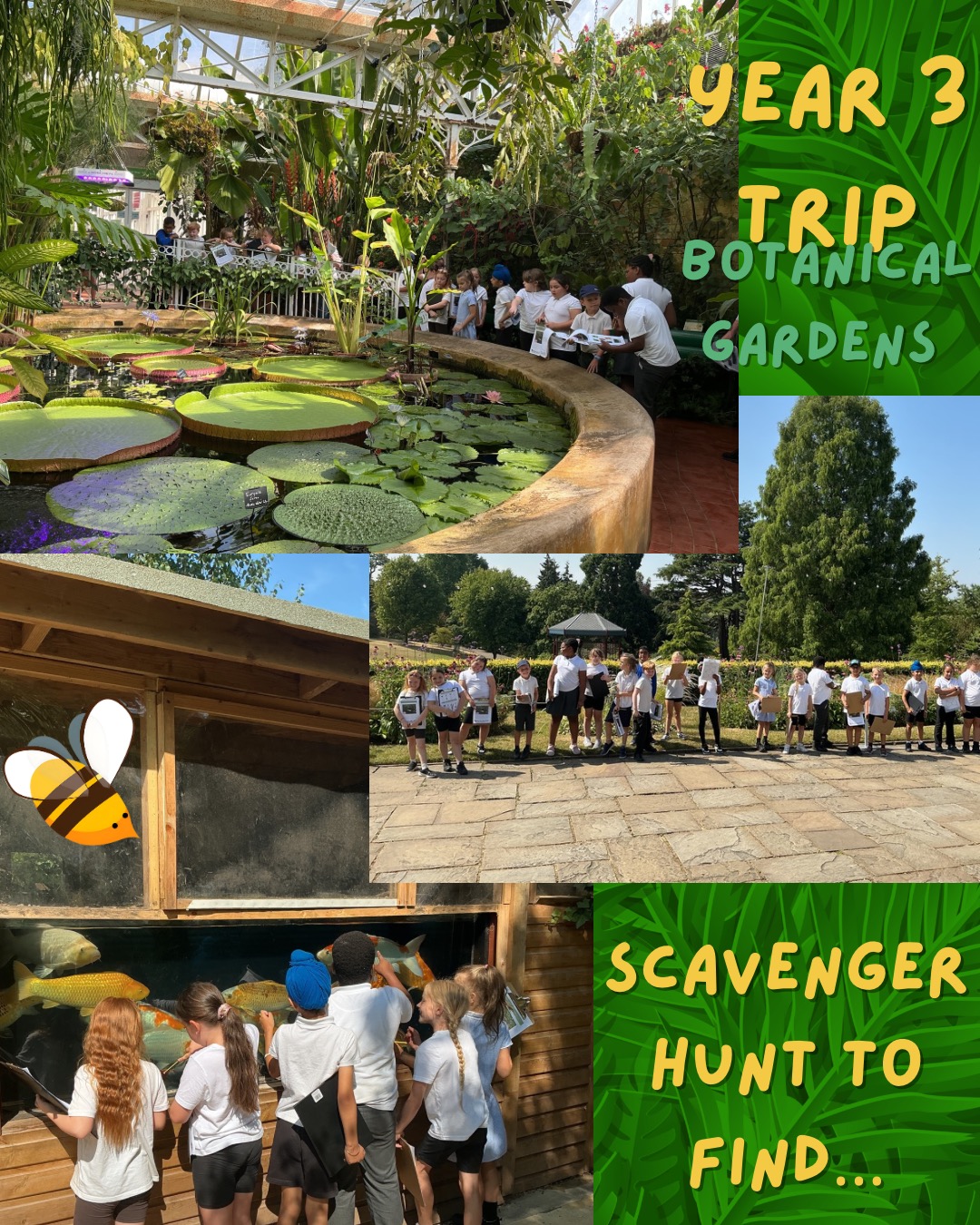 🪷🌺🌵YEAR 3 Trip to Birmingham Botanical Gardens🌵🌺🪷What a wonderful sunny day year 3 have had on their trip. They’ve completed a nature and senses scavenger hunt around the grounds and glasshouses, played on the play area and had a rainforest fun workshop.