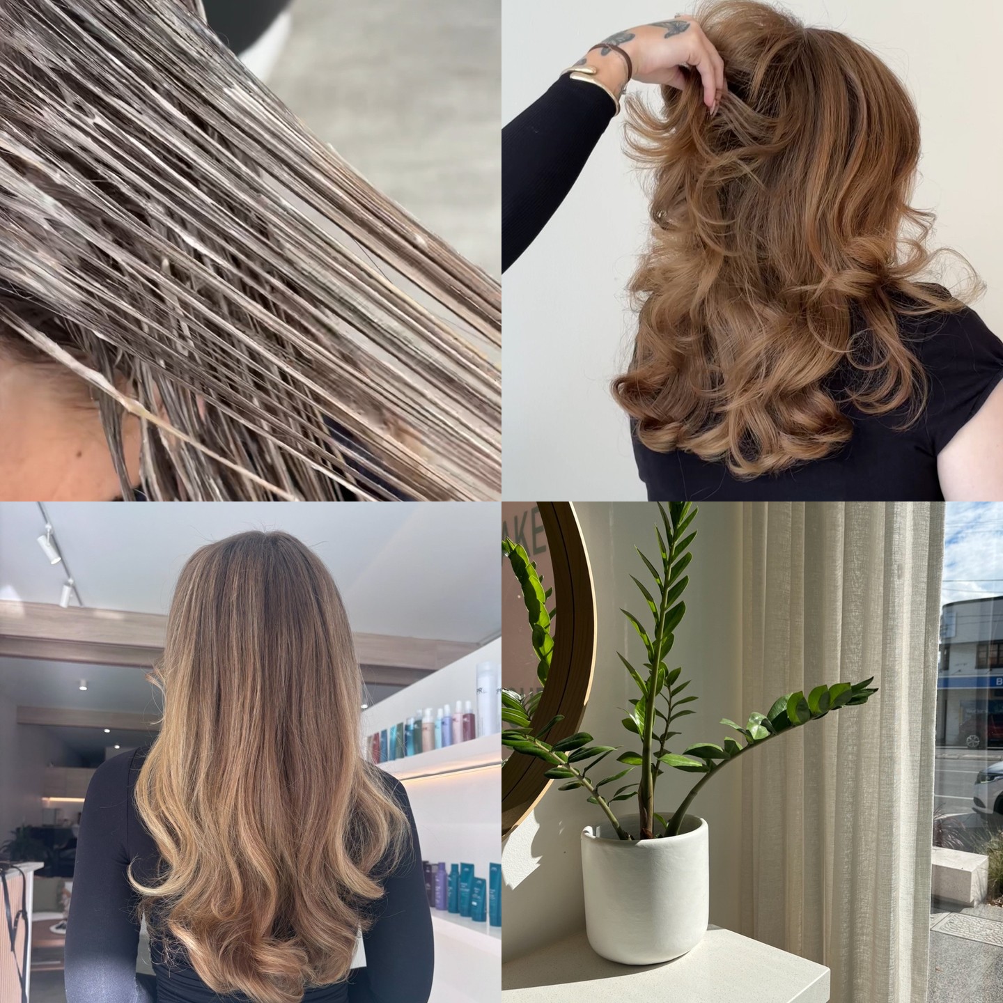 Sunshine, treatments and blowdries đ¤
#coorparoosalon #brisbanehair #brisbanesalon