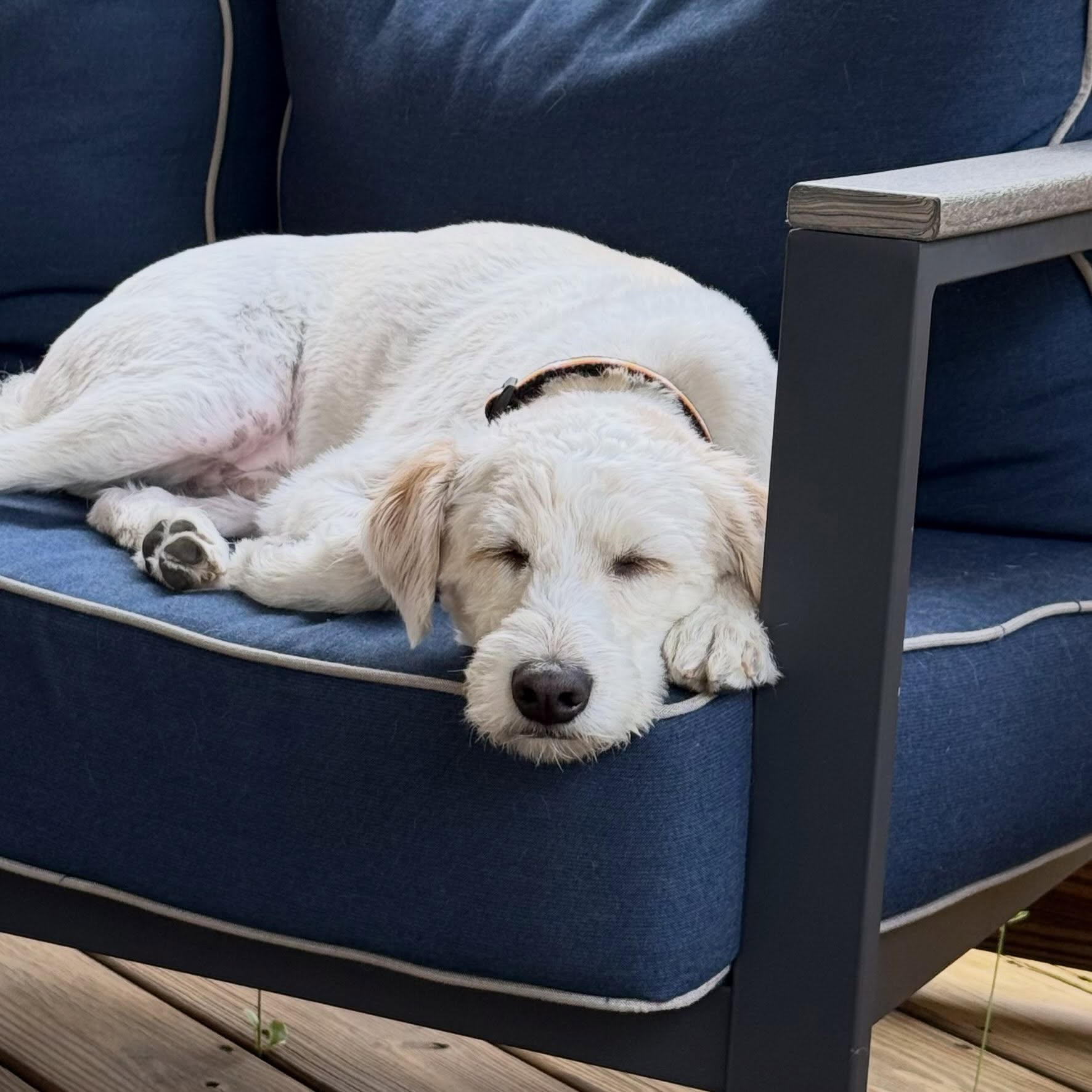 Lazy Sunday.