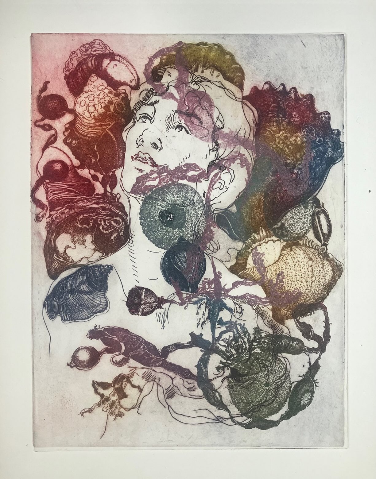 De laatste prent van mijn serie “Et Dieu créa la femme”, kleurenets, 2026. #lifedrawing #printmaking #etching #figuredrawing #botanicalprints