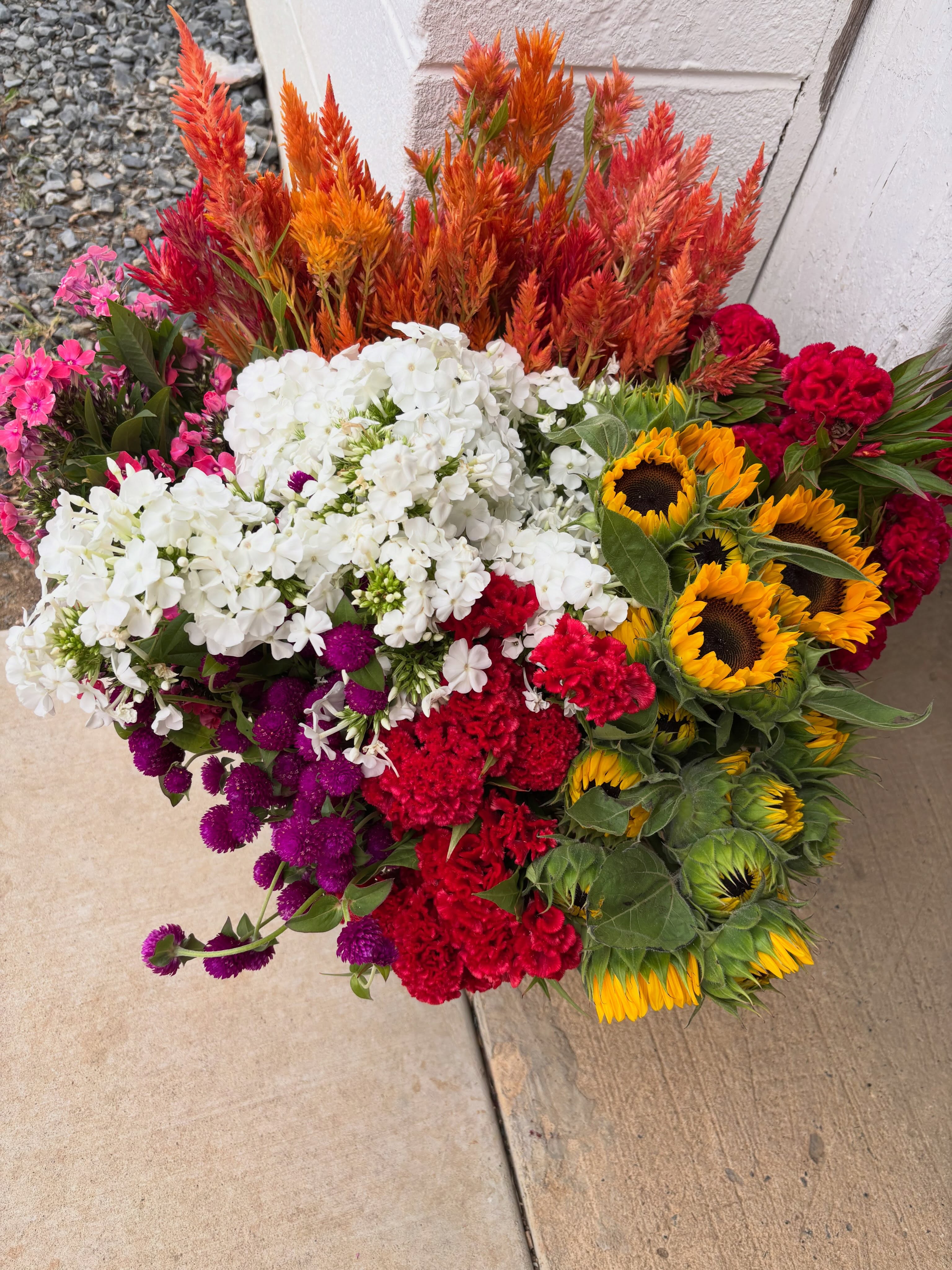 “Bright mix” looking brighter than ever.
Party bucket orders keep magically appearing in my inbox (via Erin the magician) each day. As we make bouquets, weed and plant on repeat, I occupy myself with questions like “if it was my 40th birthday party what flowers would I want?” Or “what flowers would tweens think are fun to arrange?” Or “what stems honor the life of a vibrant soul?” The events on our bulk bucket orders are my window into your celebrations. As always, thanks for inviting Roots to the party!
If you need bulk flowers for your event, inquiry form and all the details are via our website.
