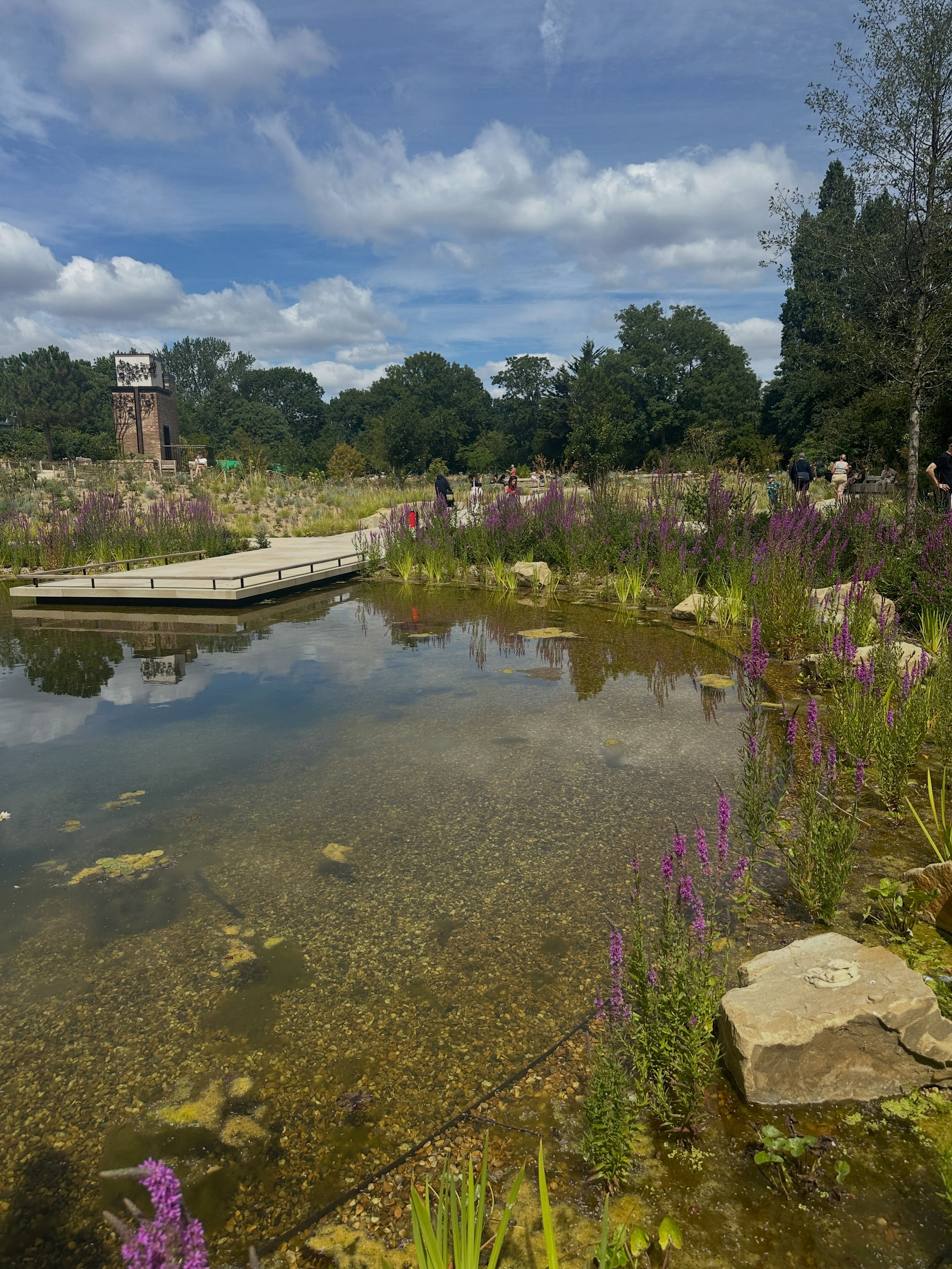 🍏 The new Queen Elizabeth garden at Regent’s Park is truly beautiful. Only a few months old but tolerating the prolonged heat very well. Some lovely hardscape details and glorious planting from waterside, woodland and prairie to wildflower meadows and the backdrop of mature trees. It’s an immersive, tranquil space that you can become totally lost in. What a Sunday treat.