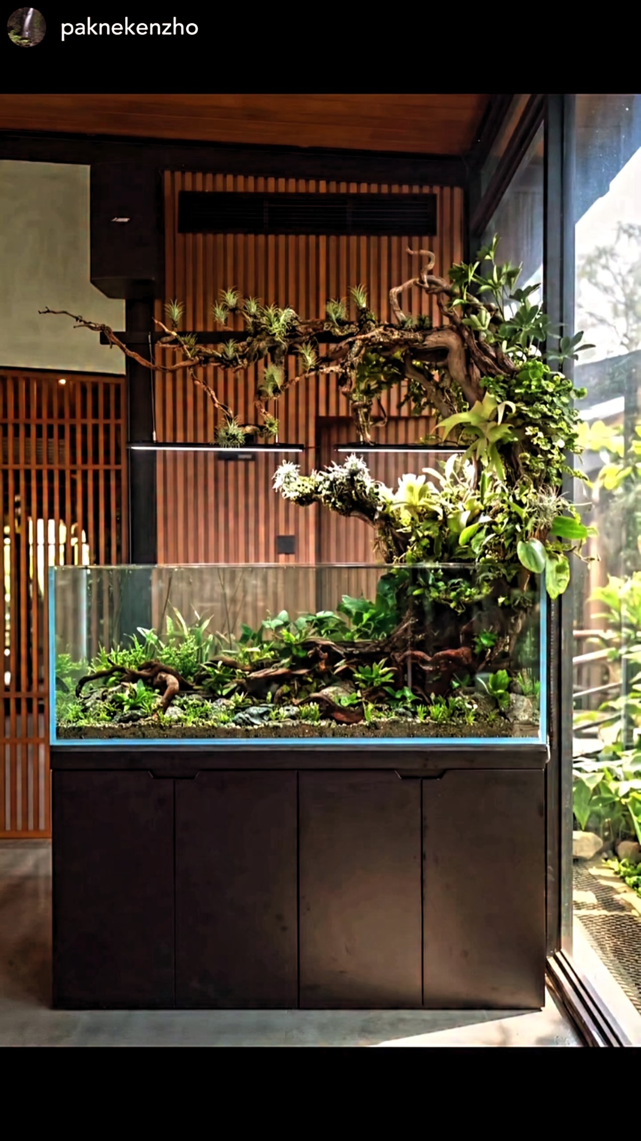 Enjoy weekend 💚
Powered by @paknekenzho
#pzes #pzesaquascapingteam #madrid #natureaquarium #plantedtank