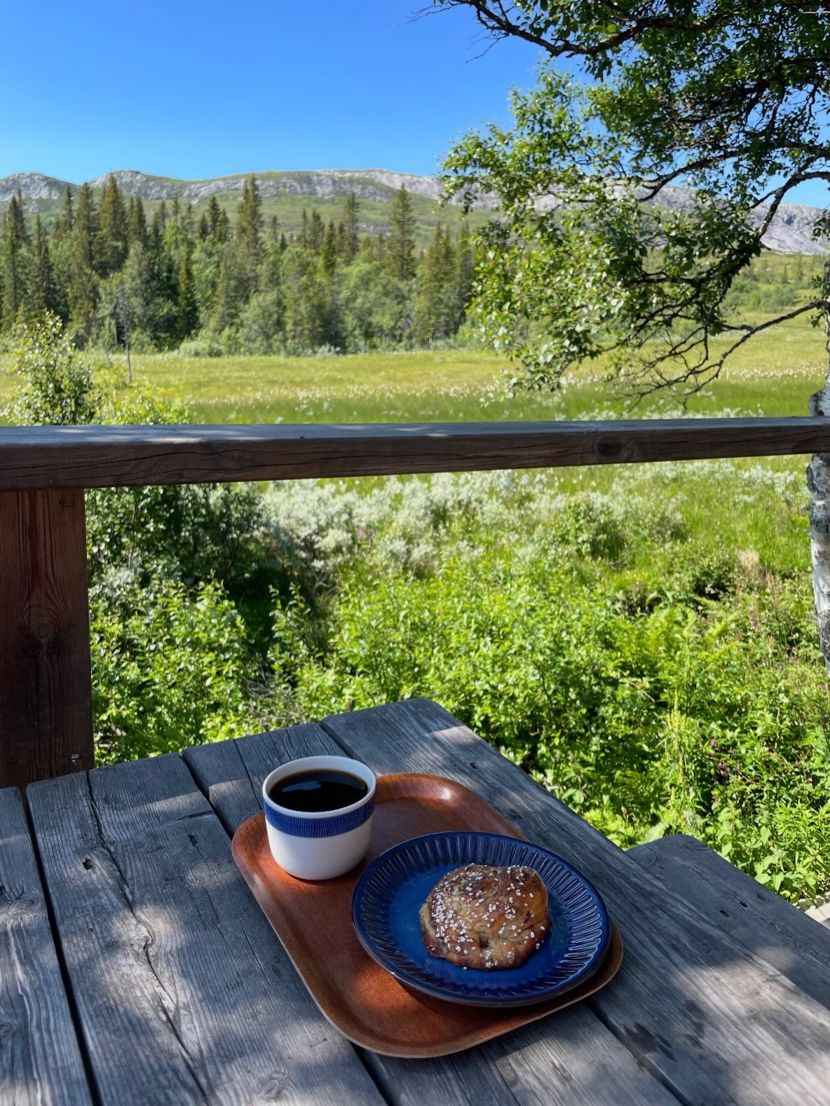 Sommardagar på fjället ändå ❤️☀️⛰️
Ibland är en inte sugen på våffla utan helt enkelt en kokkaffe med klassisk stugbakad bulle i skuggan…
Ni är välkomna att fika här när vi har stängt men snälla, ta med ert skräp 🐶💩
å släng på avsedd plats 🙏
Varmt välkommen fredag - söndag kl. 11-15
Kylda drycker, soppa, smörgås och självklart mat & sötvåffla.