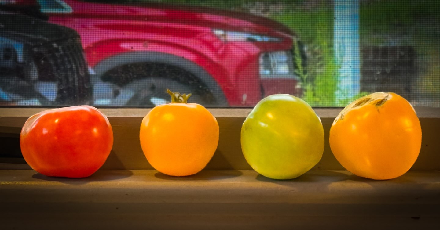 The colors of summer.