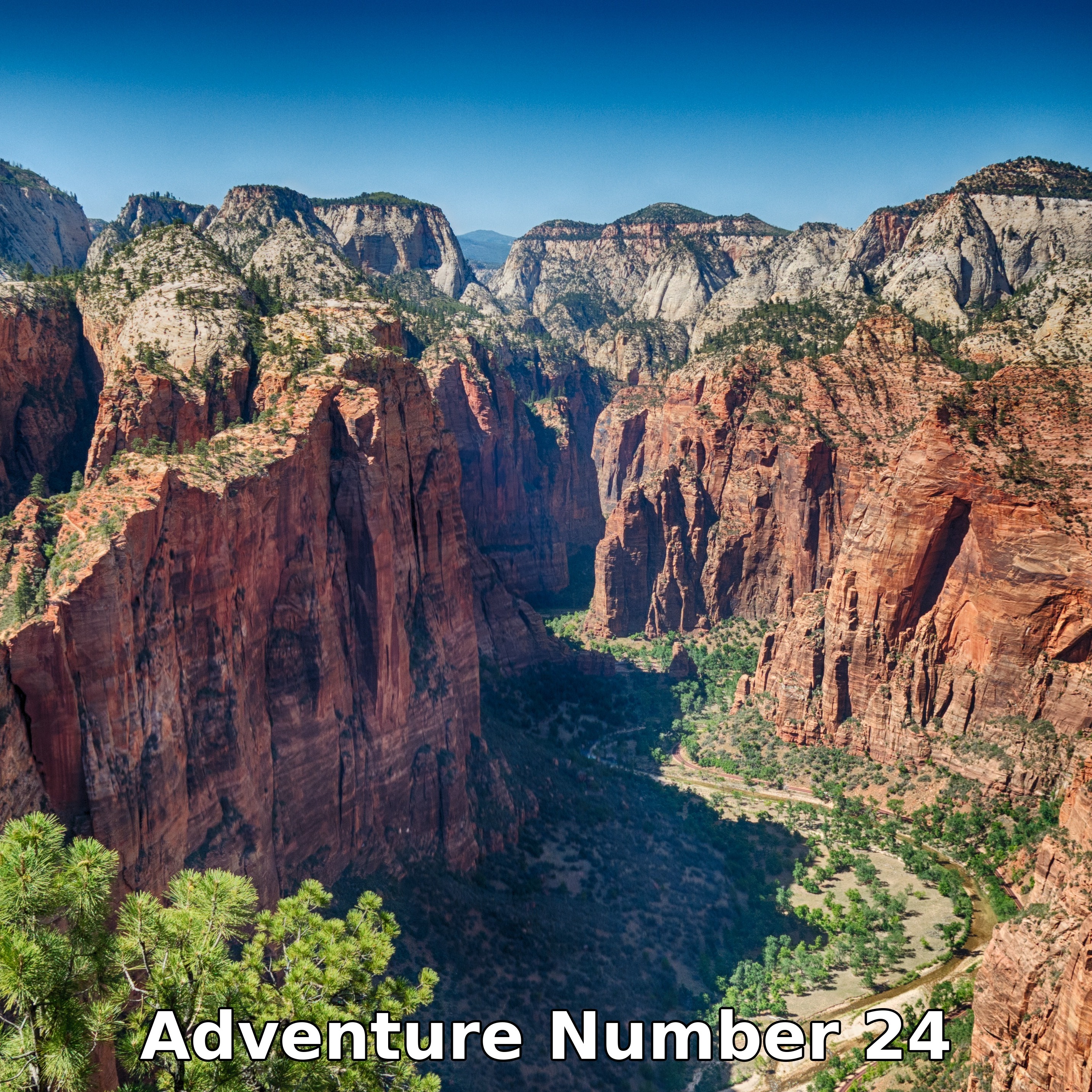 The epic Angel's Landing hike in Zion National Park. Adventure number 24 in my book (including tips on managing the crowds).
#angelslanding #zionnp #zionnationalpark #mighty5 #exploreutah