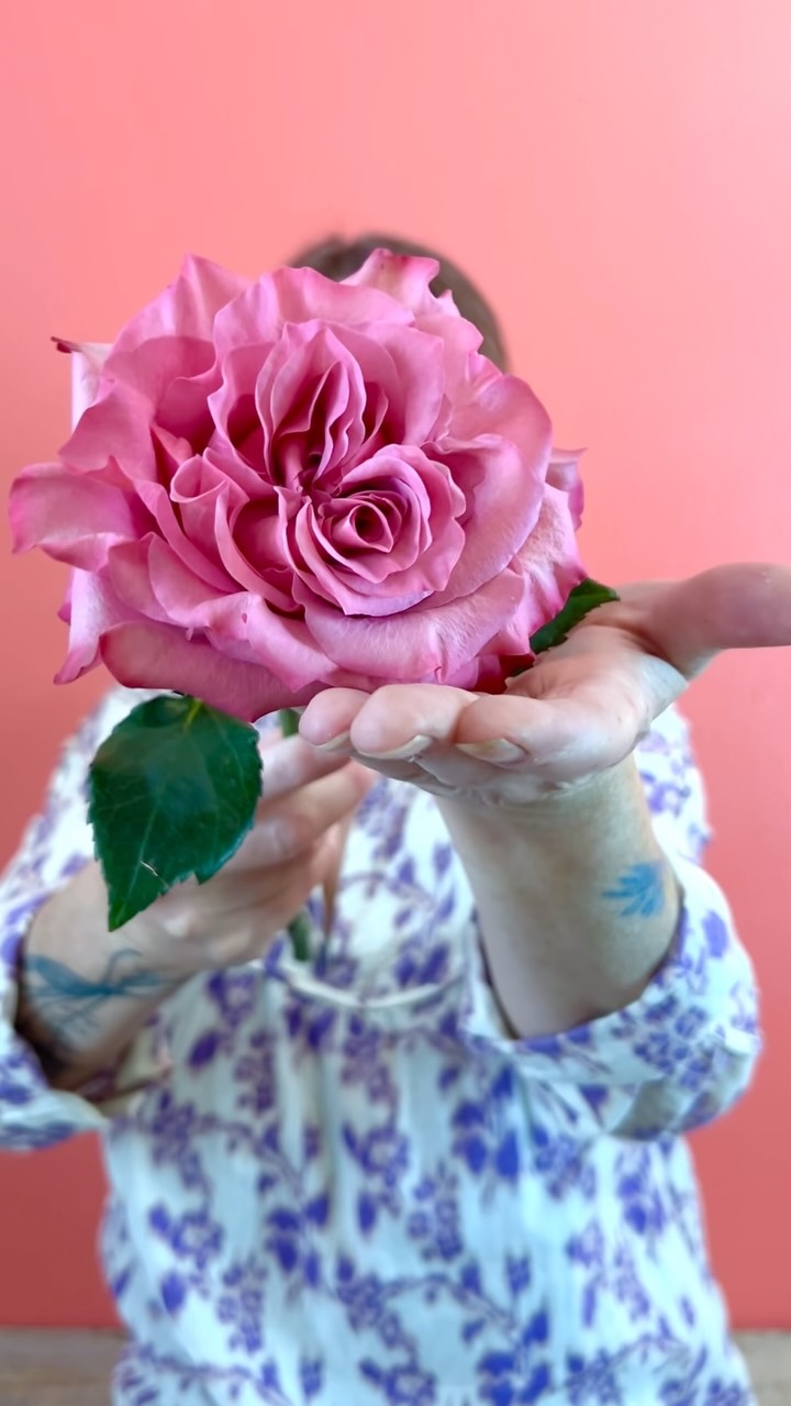 Don’t be worrying about the “meanings” of the colours of roses. You giving the flowers will say it all.
#floristlife #floristtips #perthontario #florist