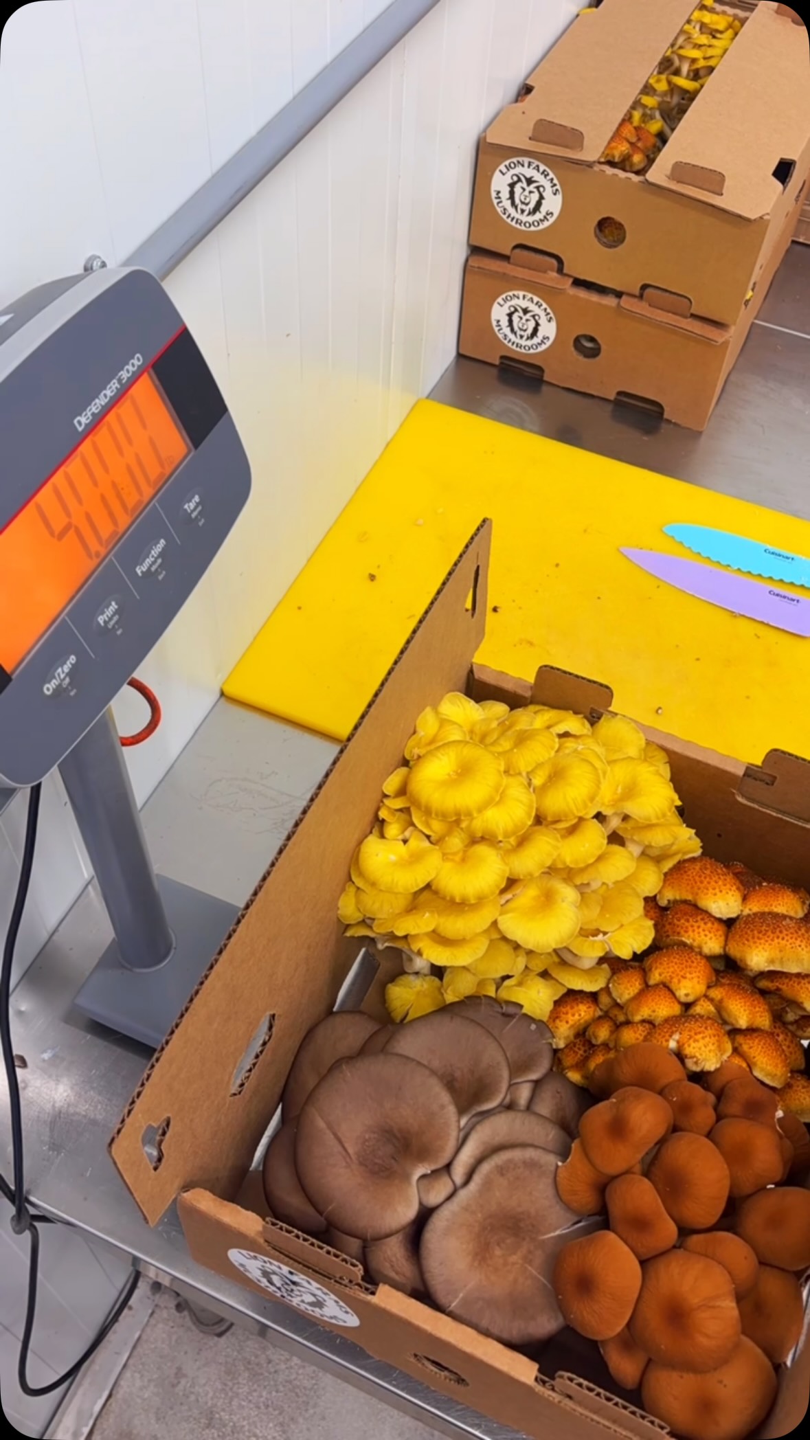 POV: Your chef box is being packed at Lion Farms. 🍄📦
Every mushroom is carefully inspected and packed to maintain peak freshness from our farm to your kitchen.
Wholesale inquiries are always welcome.