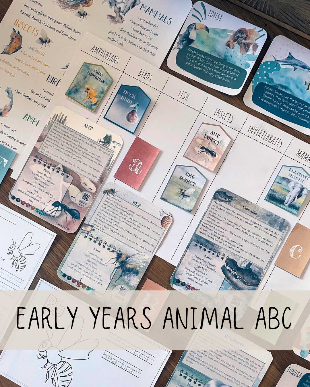 🌈 EARLY YEARS ANIMAL ALPHABET 🌈
.
Full ABC Learning pack - 375 pages
Learn with animals! Each letter of the alphabet has an animal theme. Plus posters and cards to print, laminate and reuse time and again.
What is included:
Each letter contains an animal fact card with 11 worksheets.
A “how to use” guide on how to talk through the animal card with your child.
Letter cards
Alphabet poster with cards and trace cards
Map of the world
Continent maps
Conservation status chart
Animal badges for animal groups chart
Animal Groups chart
Biomes poster with cards
.
On special offers! Click the link in my bio x #animalalphabet #learnwithanimals #homeschoolingresource #learningresource