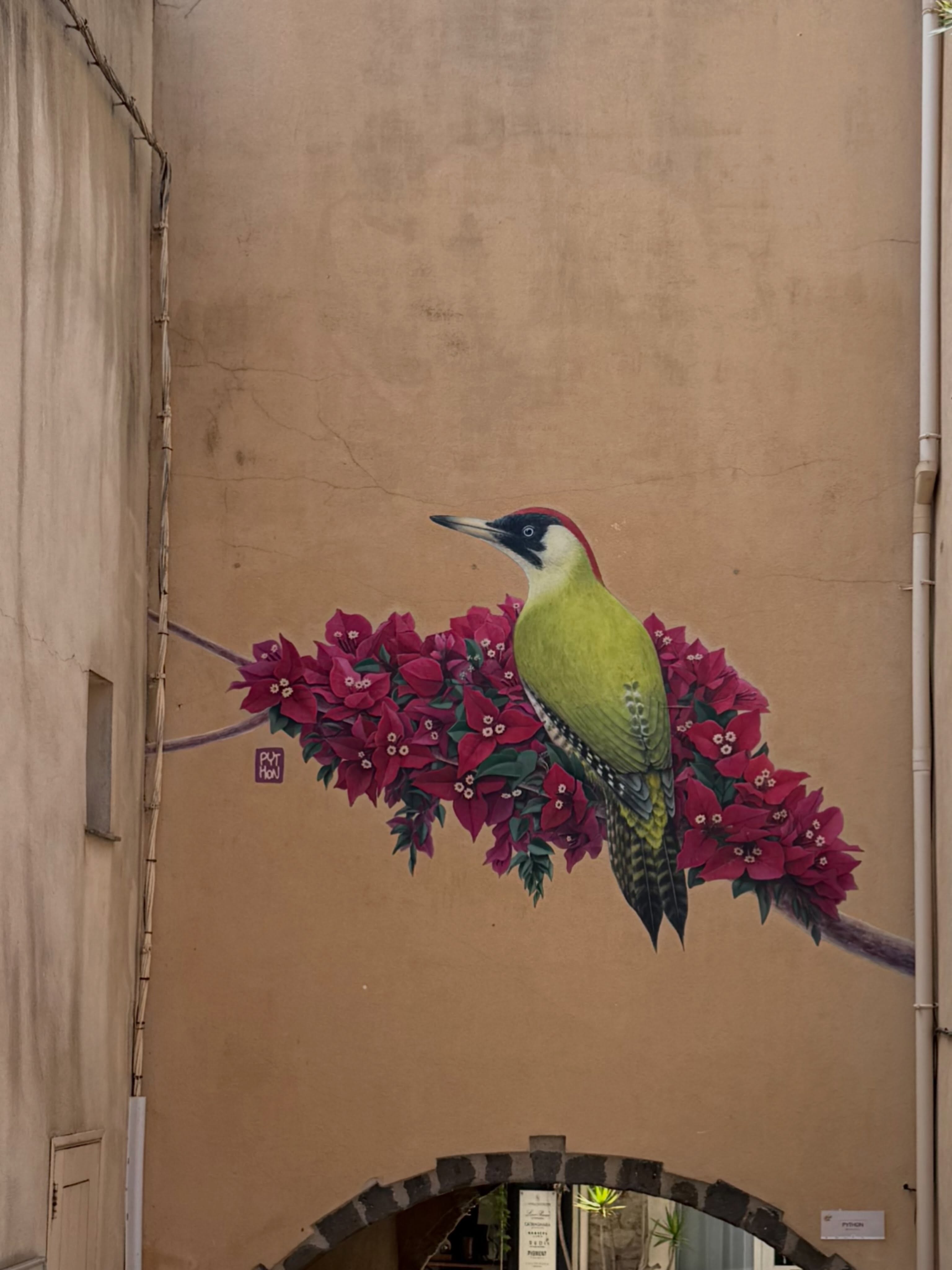 Some birds in the South of France