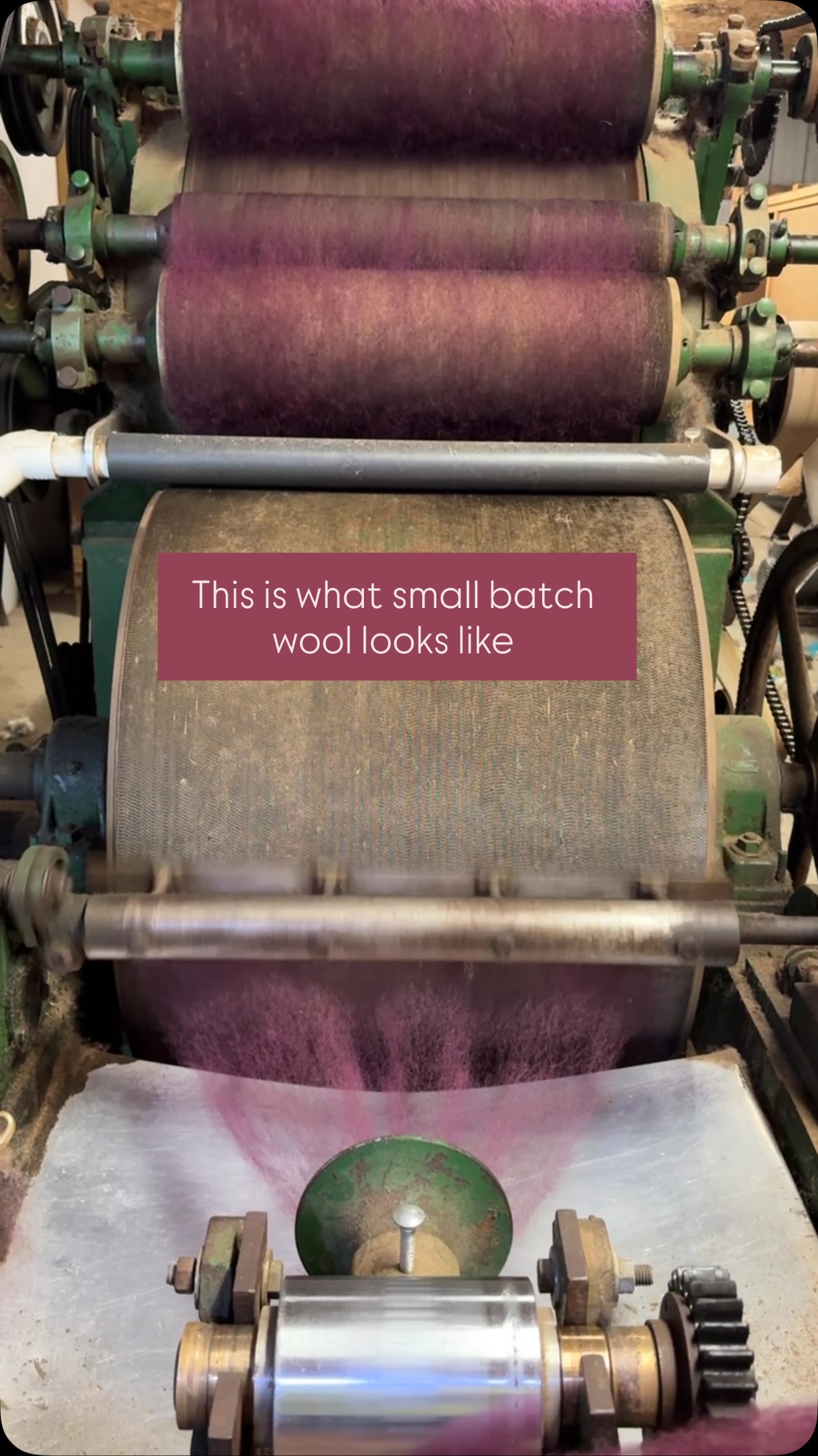 Small-batch means every batch gets our attention from start to finish.
This is Local Ewe-Romney breed, making its way through the carder and into roving.
Romney wool is known for its strength, versatility, and beautiful luster, making it a favorite.