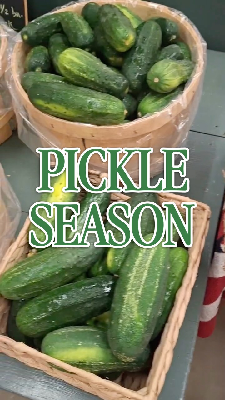 🥒 It’s pickle season! We’ve got the cucumbers, garlic, and dill covered, stop by and grab some before it’s gone!