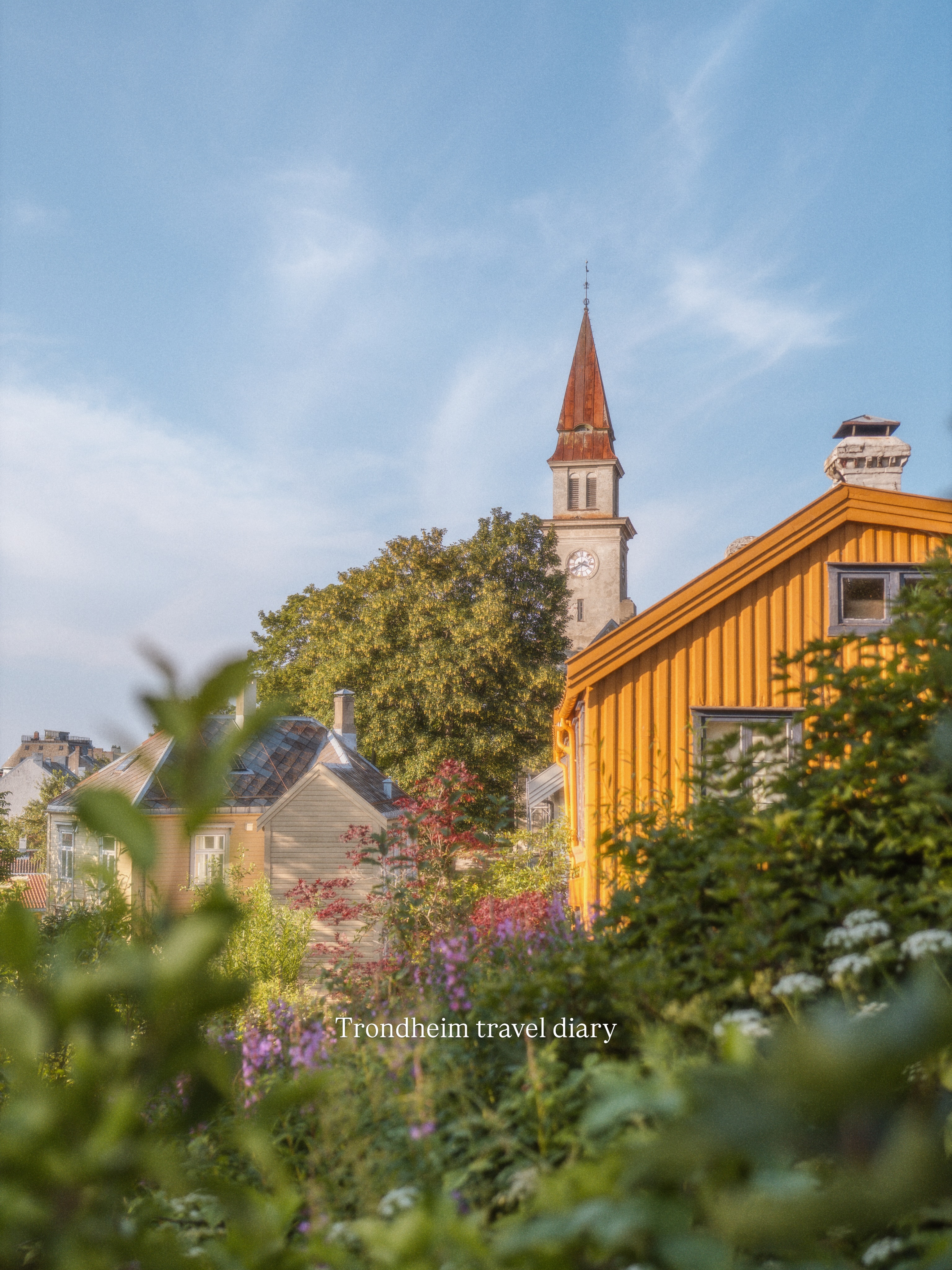 Come along for a little tour around Trondheim! 🇳🇴
I love this beautiful city with its quaint, colourful houses, museums, cafés, and shops, as well as its walkability, seaside walks, forest trails on the other side of the city, and the general feeling of being close to nature despite being in an urban environment.
It’s the perfect city for nature lovers like me!
Swipe to see what we got up to. :)
