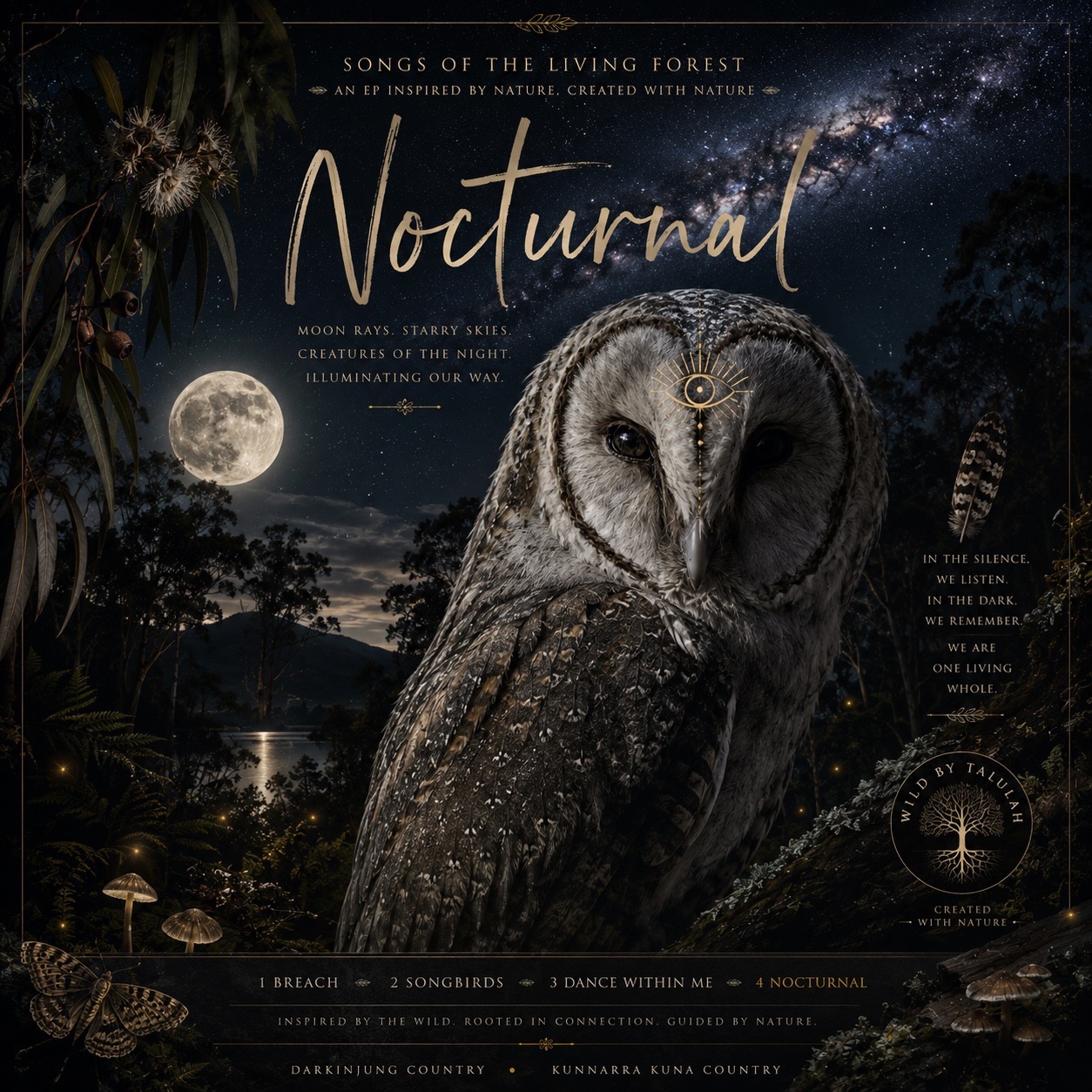 As the forest falls silent, another world begins to sing.
Nocturnal is inspired by moonlit forests, the Milky Way and the remarkable Greater Sooty Owl, whose silent flight reminds us that nature never sleeps. Gentle melodies, immersive textures and the sounds of the night invite listeners into a space of stillness, reflection and wonder.
The final track from Songs of the Living Forest, 'Nocturnal' is a tribute to the hidden life that surrounds us after dark and a reminder that we are all part of one living, interconnected world. 🌳🥳💚 Share to any who love nature#habitats #nature #flora #fauna