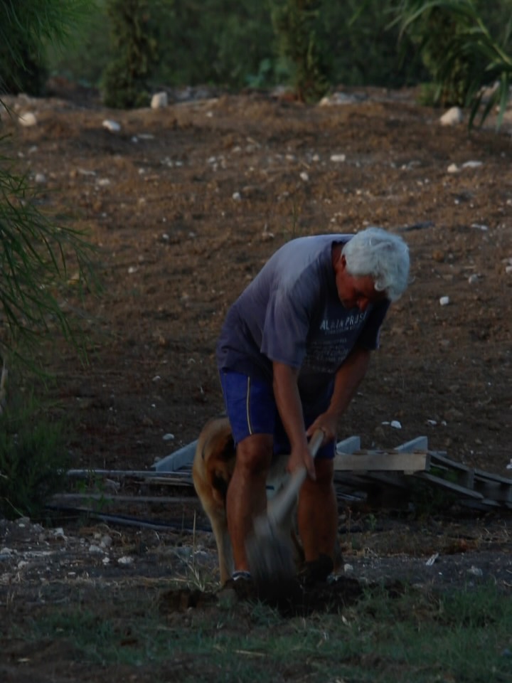 Ciao papà, ieri ho visto The Odyssey. Era inevitabile pensare a te, sia per la ricorrenza, sia perché nella mia testa c’è sempre stata un’associazione molto forte tra te e Ulisse. Non so perché ma è una cosa che è sempre esistita nella mia testa fin da bambina.
Probabilmente del film avresti detto che era un po’ “n’americanata”, ma a me è piaciuto molto. Soprattutto mi ha riportata a uno degli ultimi momenti che abbiamo condiviso insieme: la sera al Teatro Greco di Siracusa, quando siamo andati a vedere una reinterpretazione dell’Odissea. Ricordo ancora il video che mi avevi fatto mentre uscivo e la citazione a una dea, con quel paragone ai miei capelli che mi aveva fatto sorridere.
La Sicilia è stata un po’ la tua Itaca. Il posto in cui volevi tornare e quello che hai scelto per fermarti.
Adesso Argo è qui accanto a me mentre guardo la luna e ascolto il rumore del vento. Continuo a cercarti lì, perché nei sogni è spesso il vento a riportarmi nell’orto, dove ti ritrovo ad aspettarmi, insieme a Laika.
Grata, sempre 🤍🌸