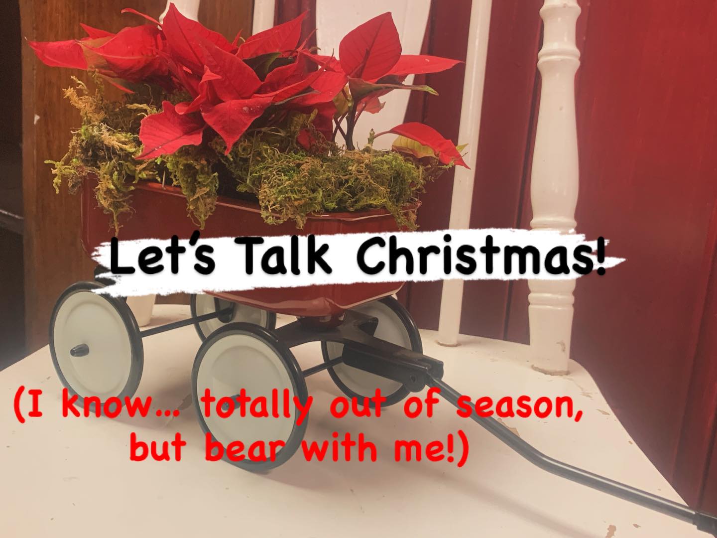 Would you mind taking a moment to talk Christmas?
We would love your opinion! Should The Garden in Harrington sell Christmas trees this year? We already offer bespoke hand made fresh green wreaths, garlands and Christmas plants, but we have never been able to offer live cut Christmas trees.
Now we can, but do you think we should?