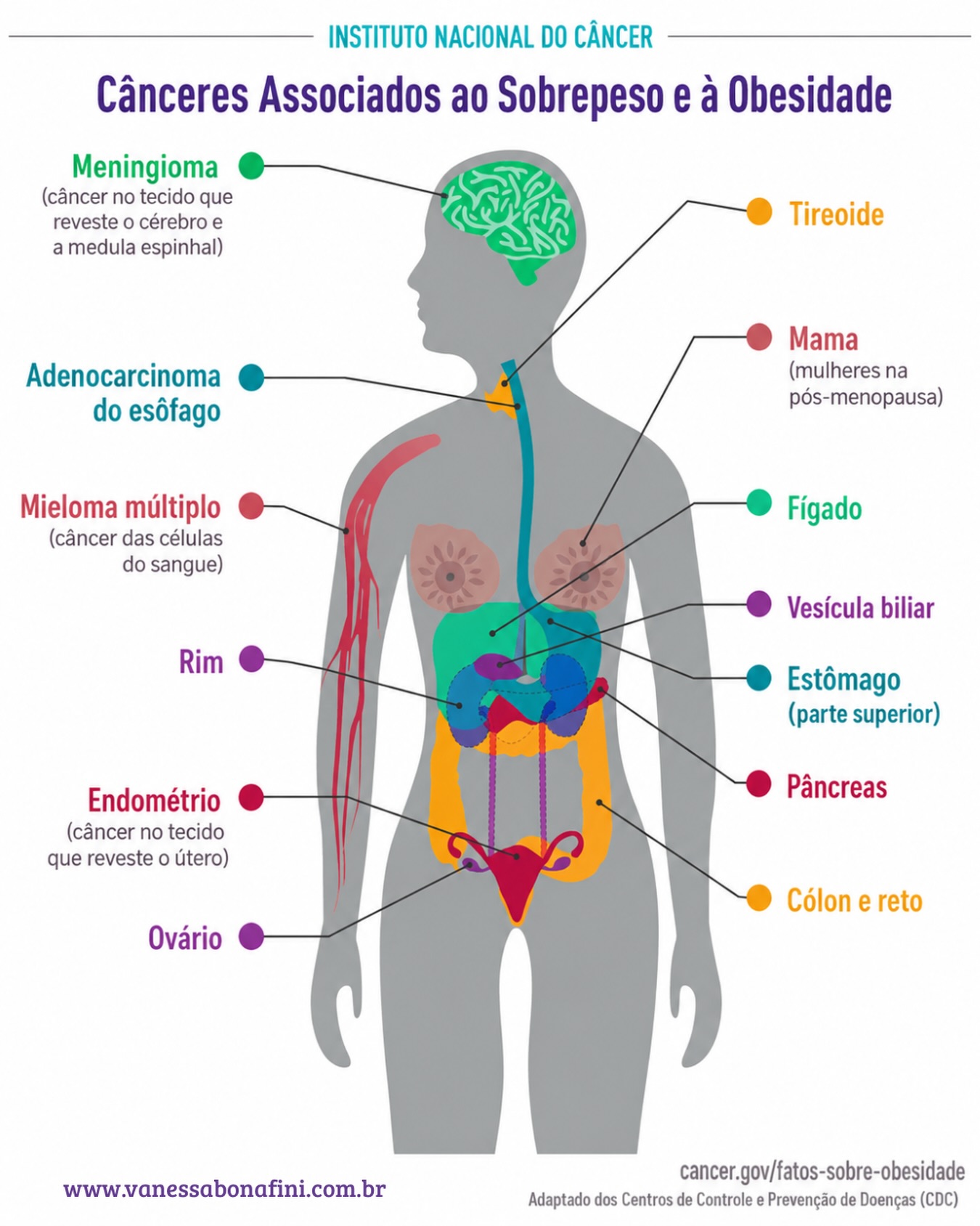 Nutrição e câncer é um tópico enorme, e também uma das áreas mais comuns e incompreendidas no bem-estar do câncer. Com tantas informações conflitantes por aí, é fácil se sentir sobrecarregado.
Não se trata de soluções rápidas ou dietas da moda, trata-se de entender a ciência e se concentrar em mudanças práticas e sustentáveis que você pode fazer hoje.
Quanto mais exploro a ciência da nutrição e do câncer, mais venho a apreciar tanto seu potencial quanto suas complexidades. Embora muitas evidências mostrem como a dieta afeta o risco de câncer, mitos e simplificações excessivas geralmente dominam a internet. A ideia de um único “superalimento” pode curar o câncer ou um alimento específico pode causar câncer, simplesmente não é verdadeira.
O risco de câncer é moldado por muitos fatores, incluindo genética, padrões gerais de dieta, estilo de vida e influências ambientais. Nenhum alimento único é o único responsável por causar ou curar o câncer. É por isso que enfatizo pequenas e consistentes mudanças alimentares. Essas estratégias gerenciáveis podem ter um impacto significativo ao longo do tempo.
Comente NUTRIÇÃO que envio o link para que você possa fazer escolhas informadas.🧘♀️