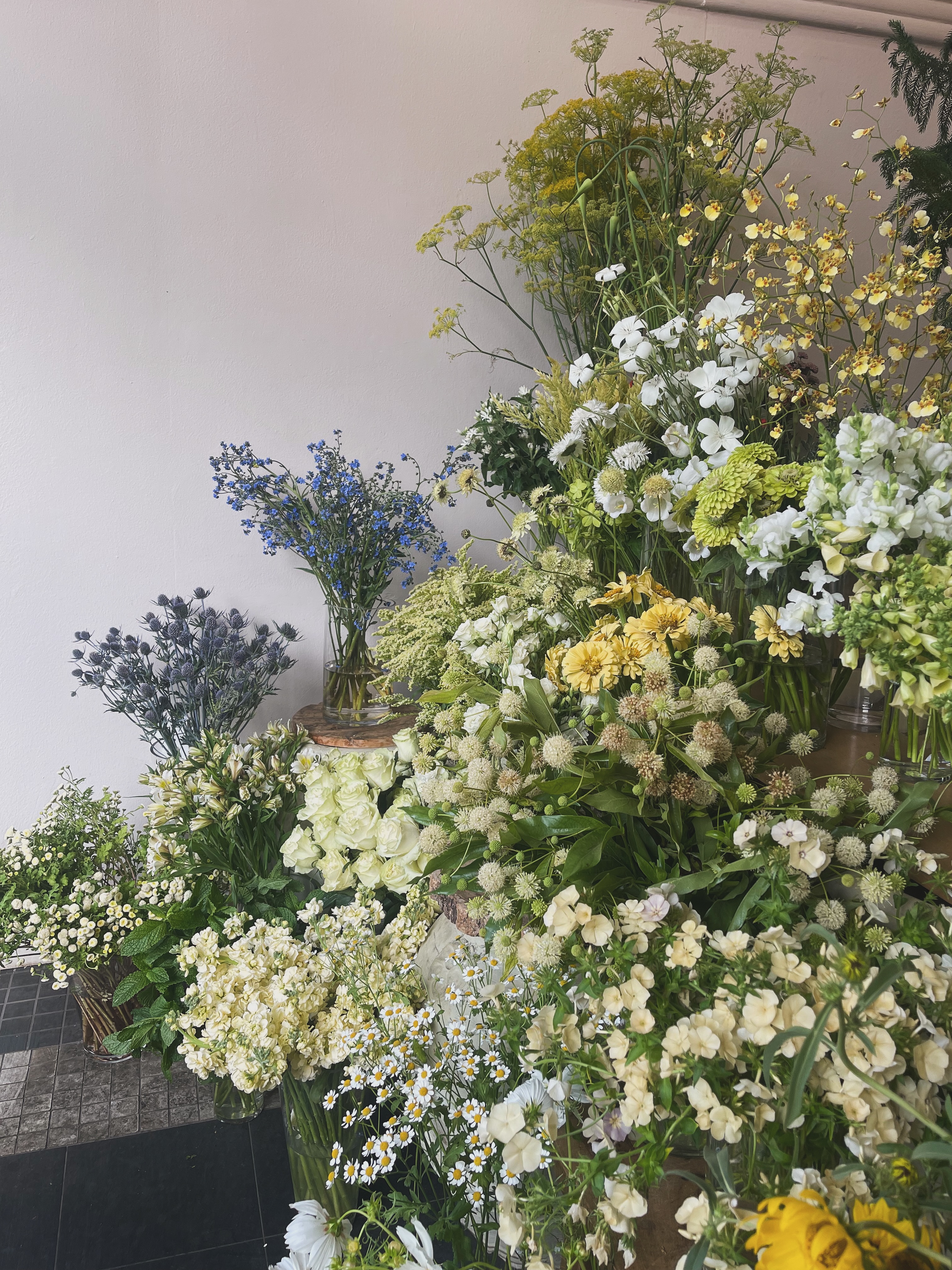 Flowers. Every day.
Come see the Magic at our retail shop in the marina, 40 years of florals - 2205 Union Street, San Francisco