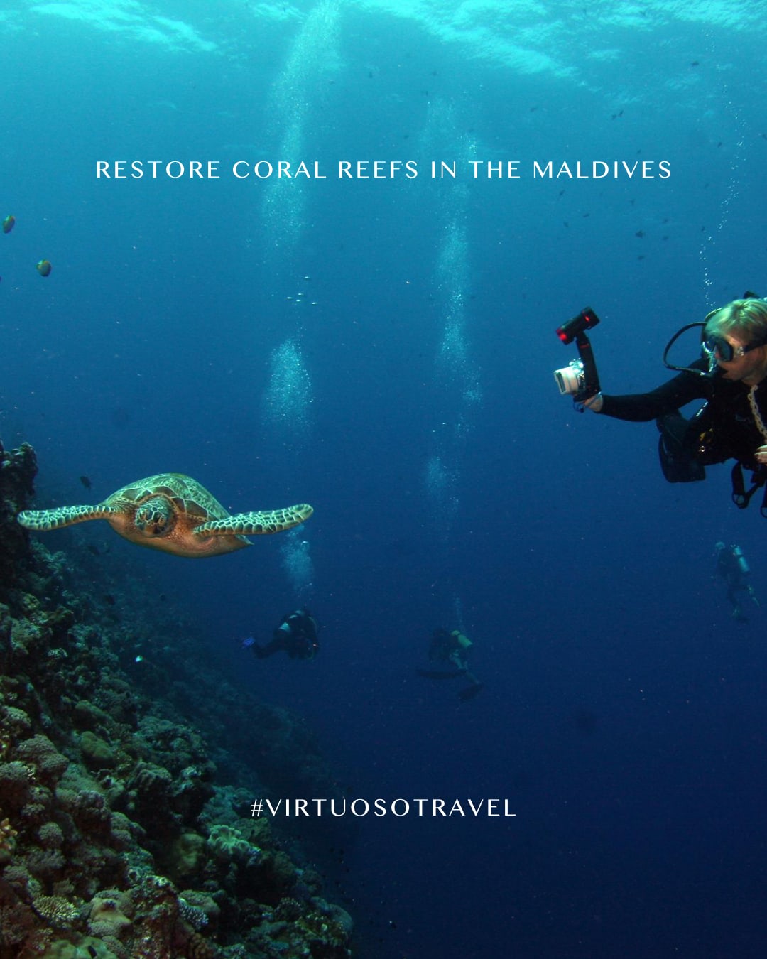 Conservation travel is transforming nature trips into hands-on experiences, where travelers can track wildlife, restore coral reefs, and contribute to real scientific research. 🪸 🐢
Reach out to create a journey that gives back to the places you visit:
(647) 576-7110
info@wayyzatravel.com
#VirtuosoTravel
#bookwithwayyza #thewayyzaway