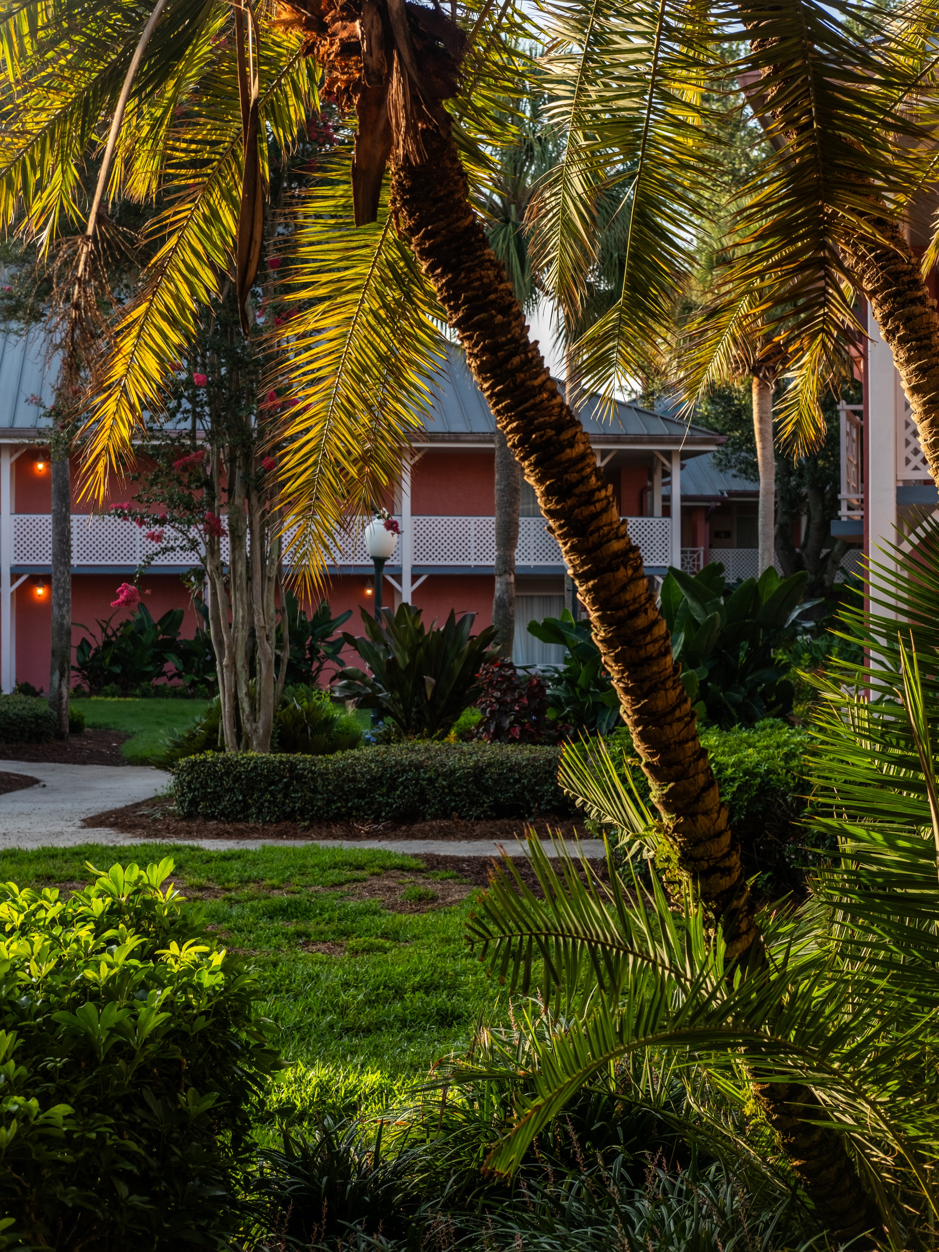 Here are some of the vertical shots from around Disneys Caribbean Beach Resort. #wdw #caribbeanbeachresort #photography #vacation #disney